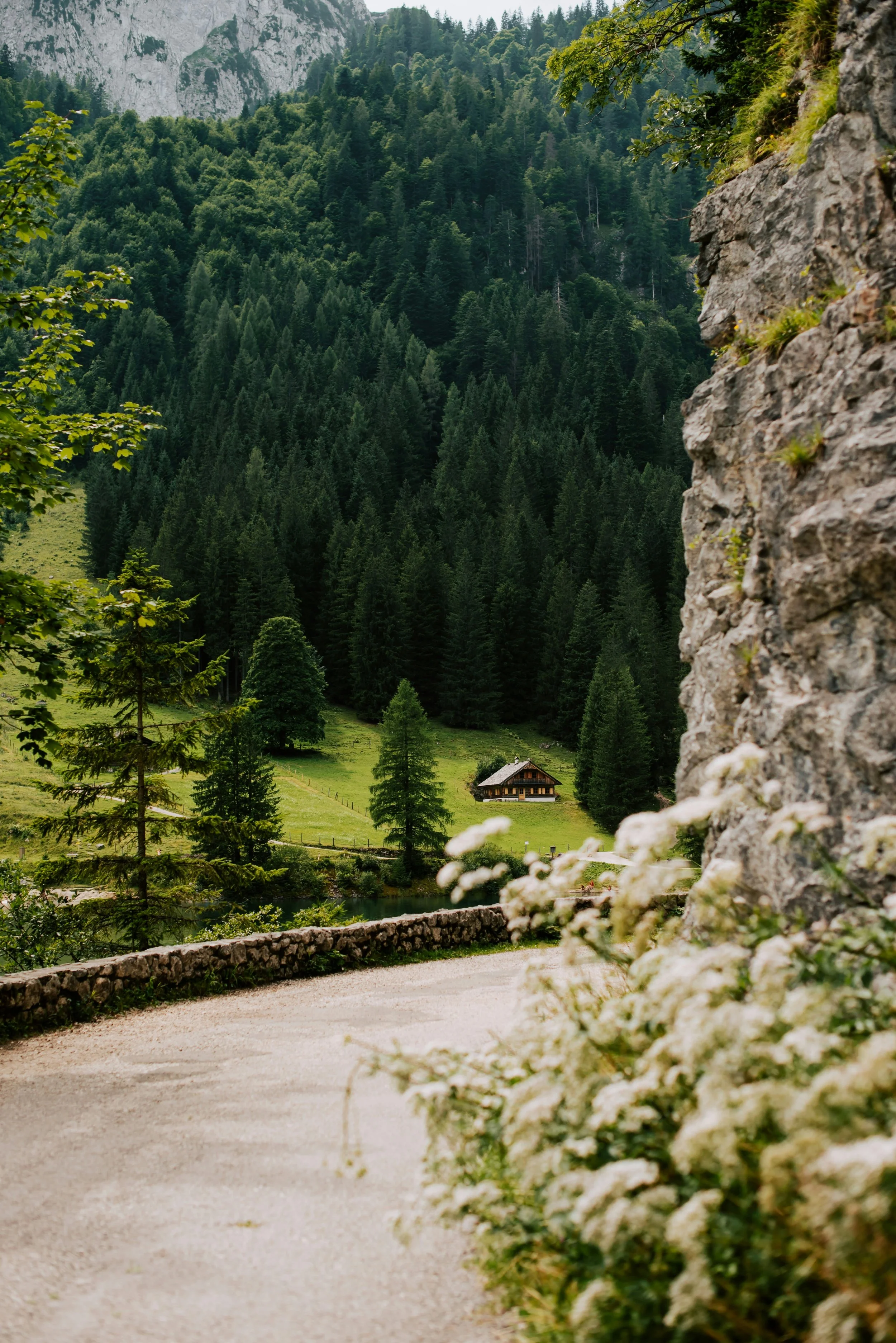 kateryna-hliznitsova-SuWPj8PMya4-unsplash.jpg