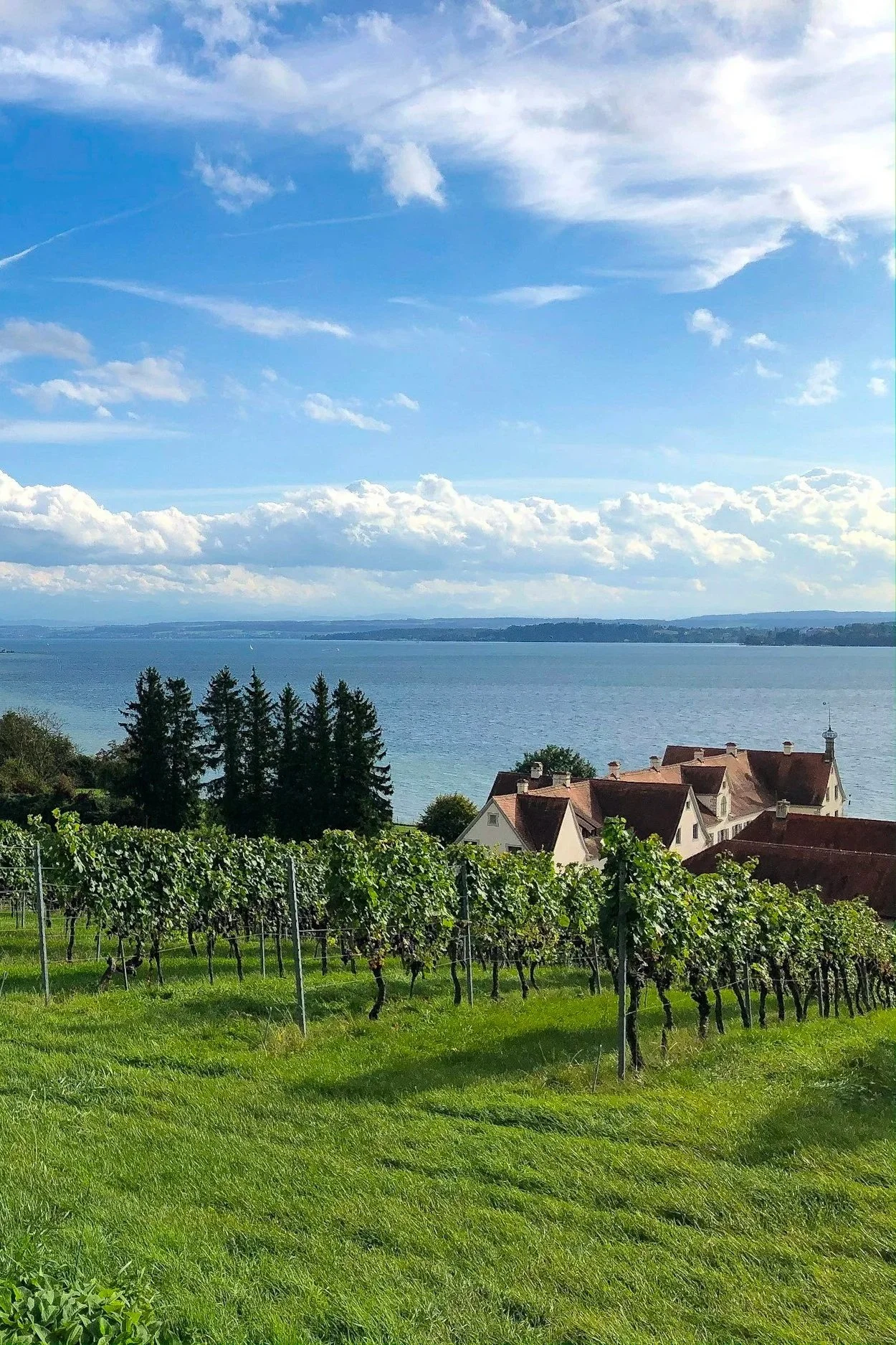 Let’s build something beautiful. Join our local tribe team at Lake Constance.