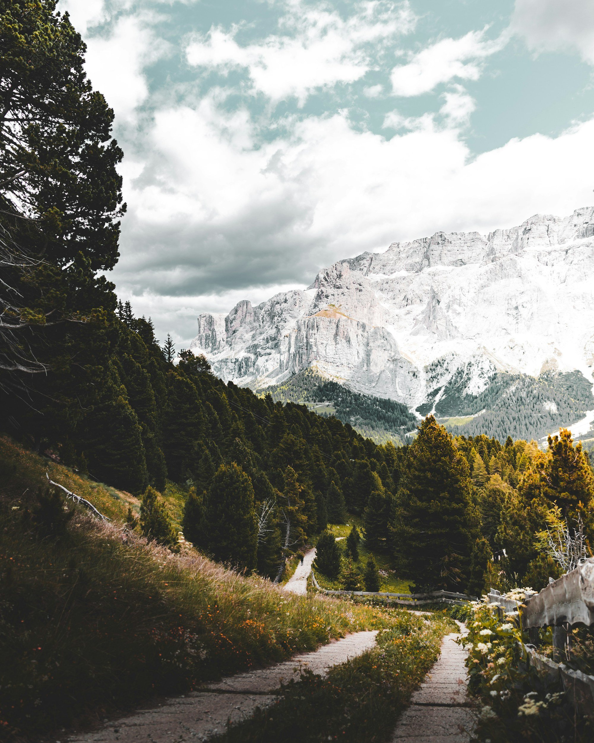Let’s build something beautiful. Join our local tribe team in North, East and South Tyrol.
