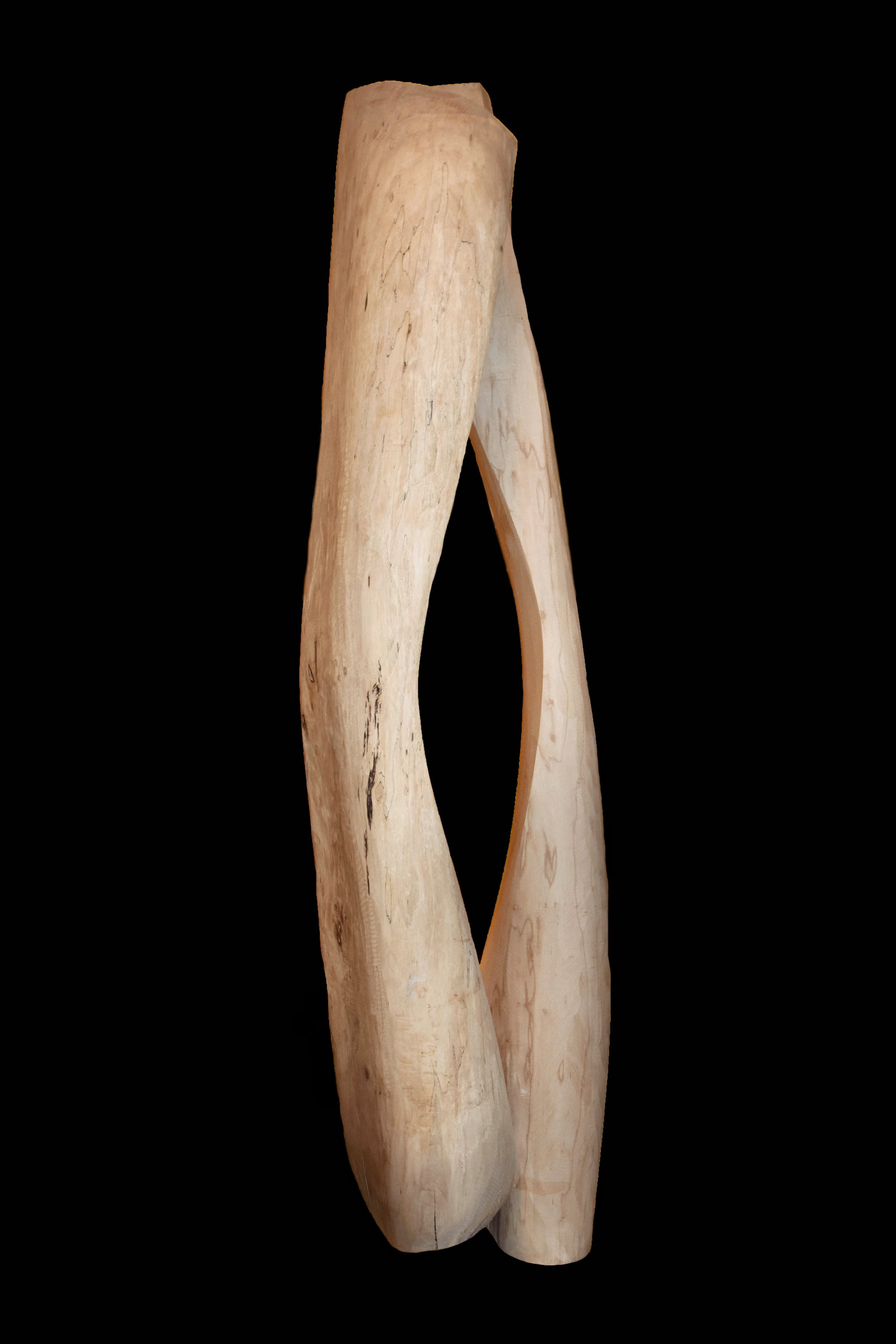 Abstract wooden sculpture made from a single piece of driftwood, with a twisted, open center, set against a black background.