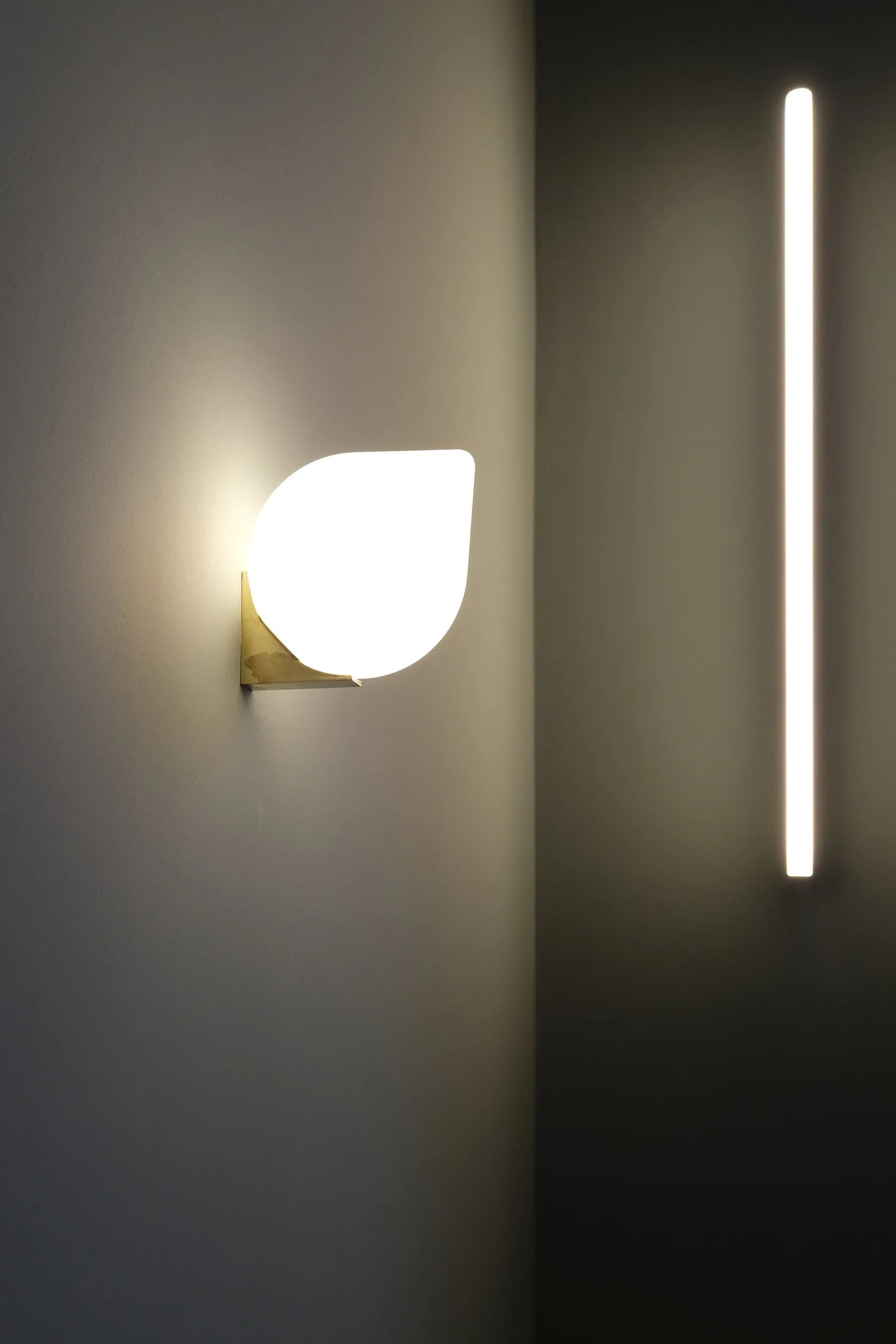 1903 06 20-11-30DSCF0481-Web.jpg