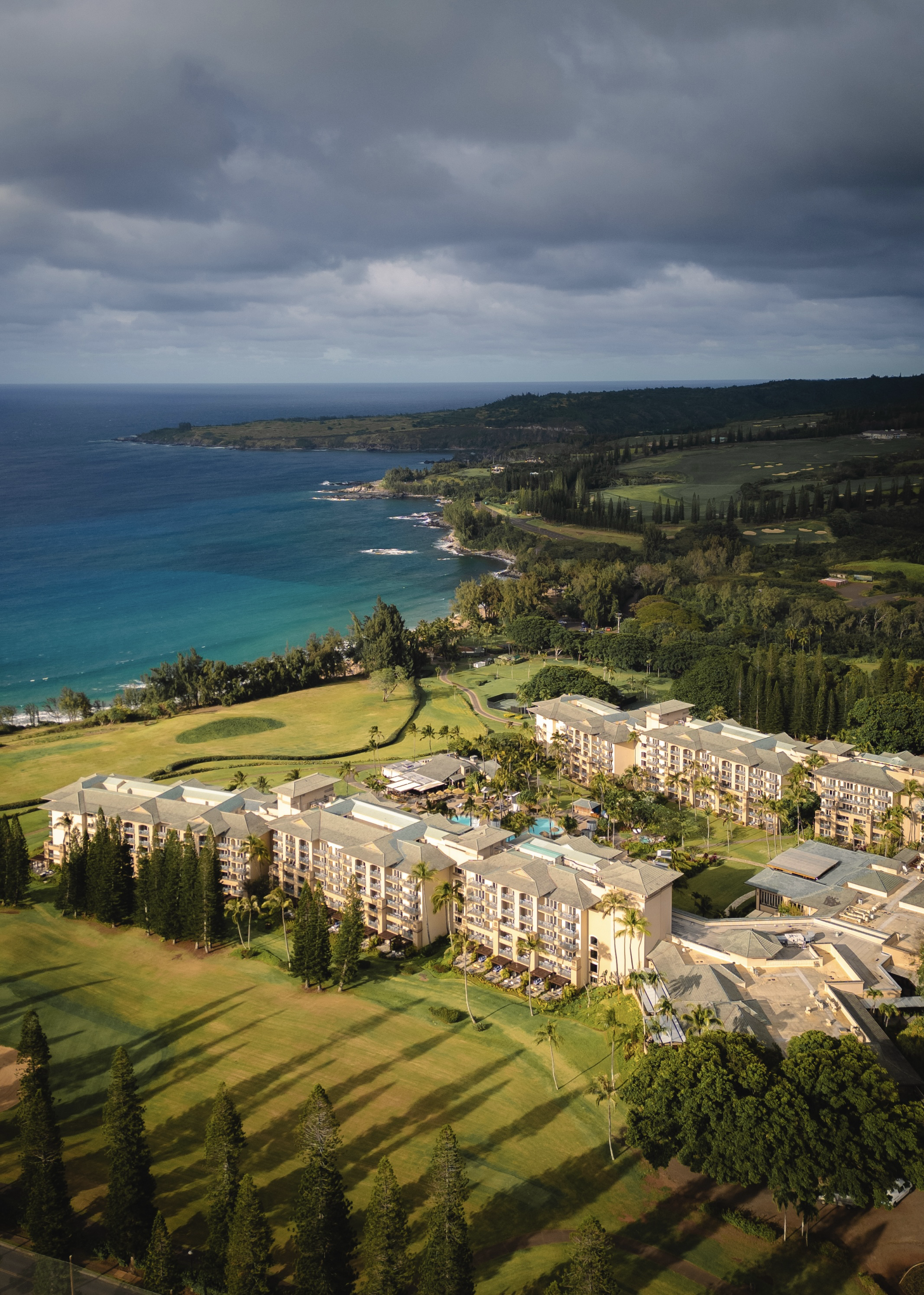 The Ritz-Calton Maui Kapalua