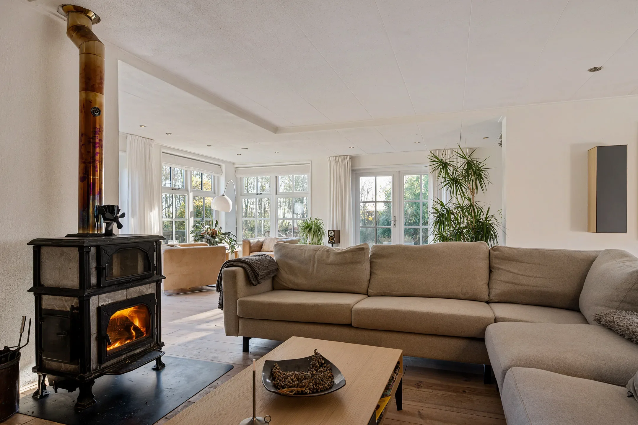 Living room with a fireplace, beige sofa, wooden coffee table, large windows, and green plants.