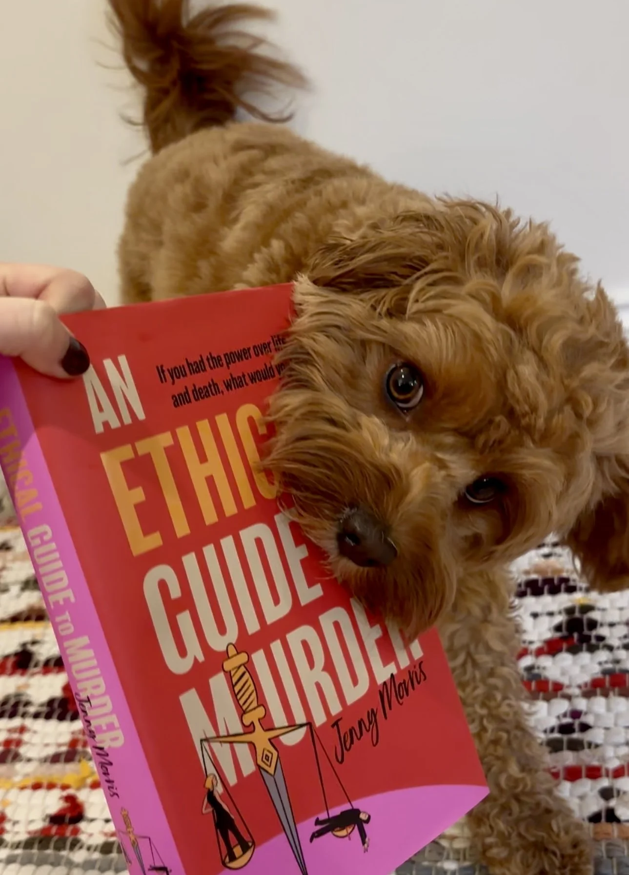 A brown, curly-haired puppy holding a red book titled 'An Ethical Guide to Murder,' with a person’s hand visible holding the book, lying on a crocheted blanket.