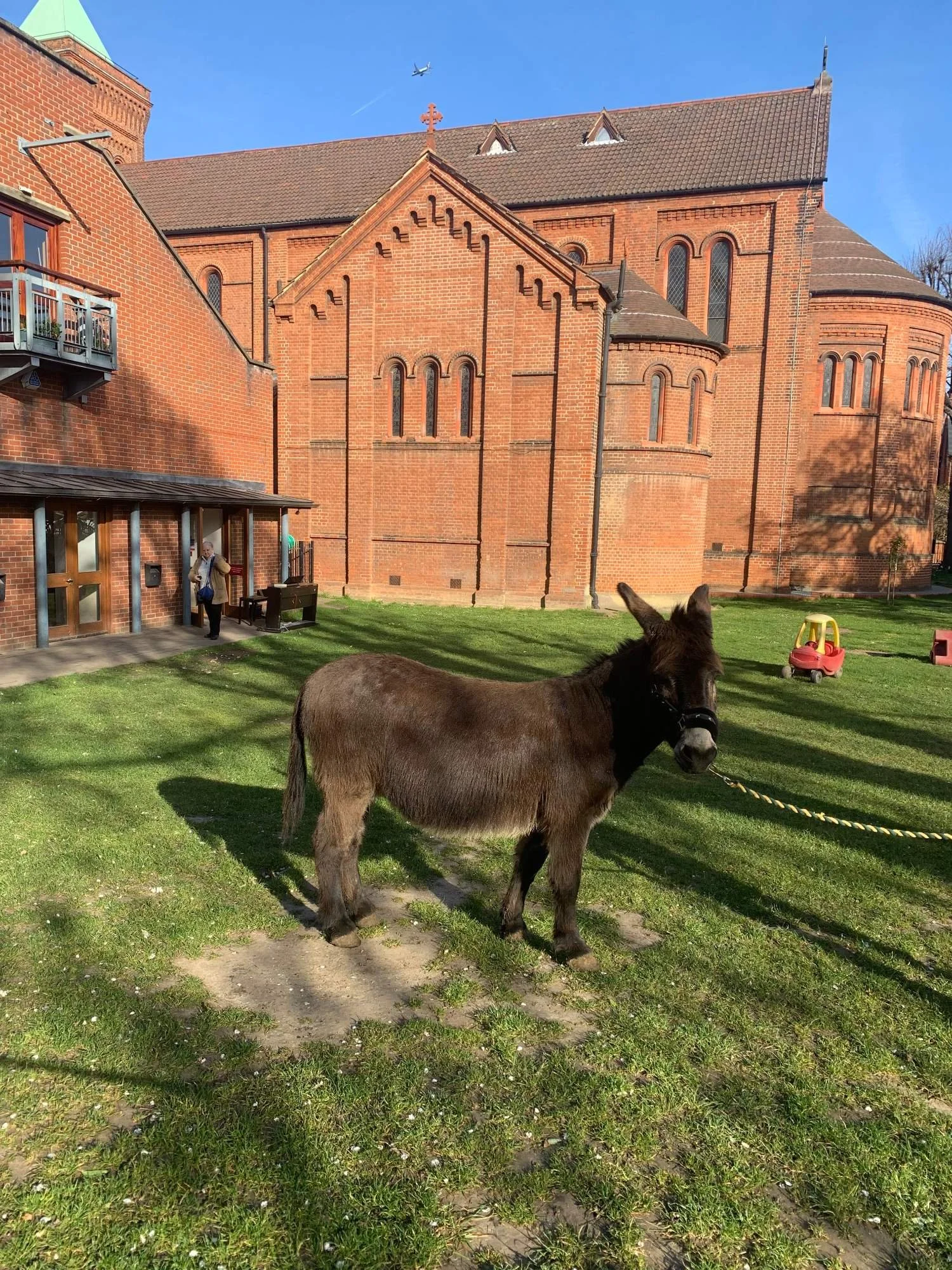 St Lukes Cafe Lent Donkey Garth 1 for web.jpg