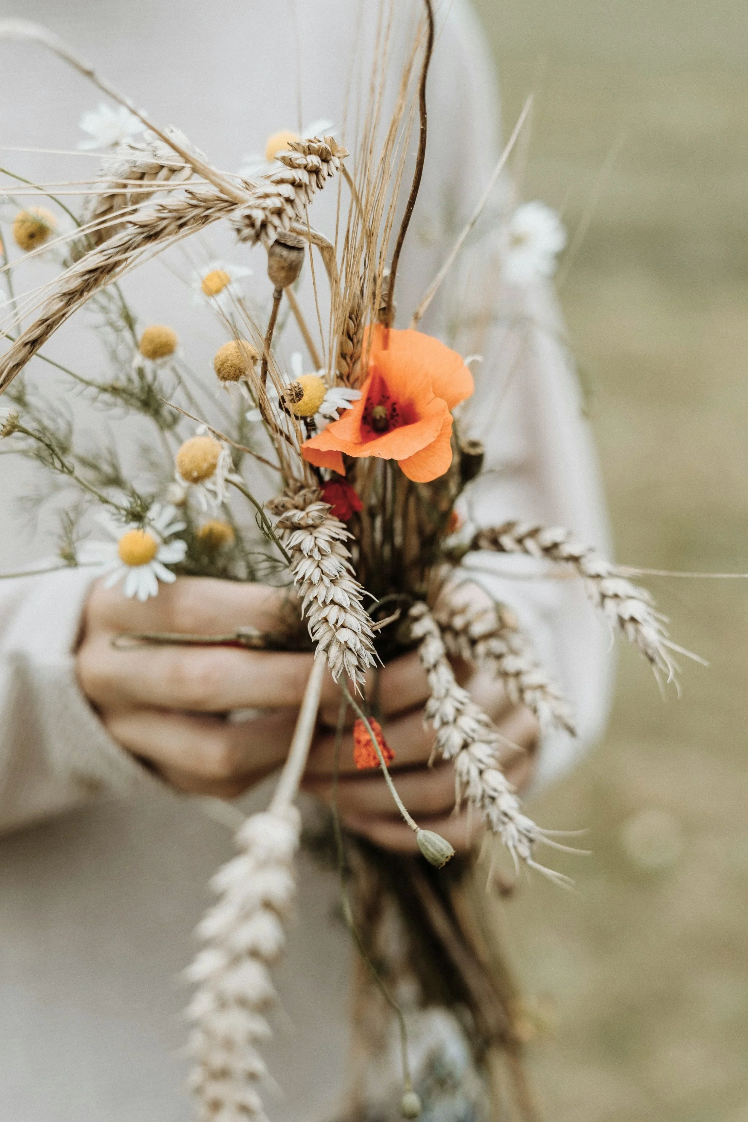 Close-up of a person holding a bouquet of dried wildflowers including white daisies, yellow billy buttons, wheat stalks, and an orange poppy against a muted background.
