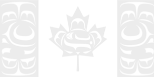 Blank white background with faint tribal-style patterns