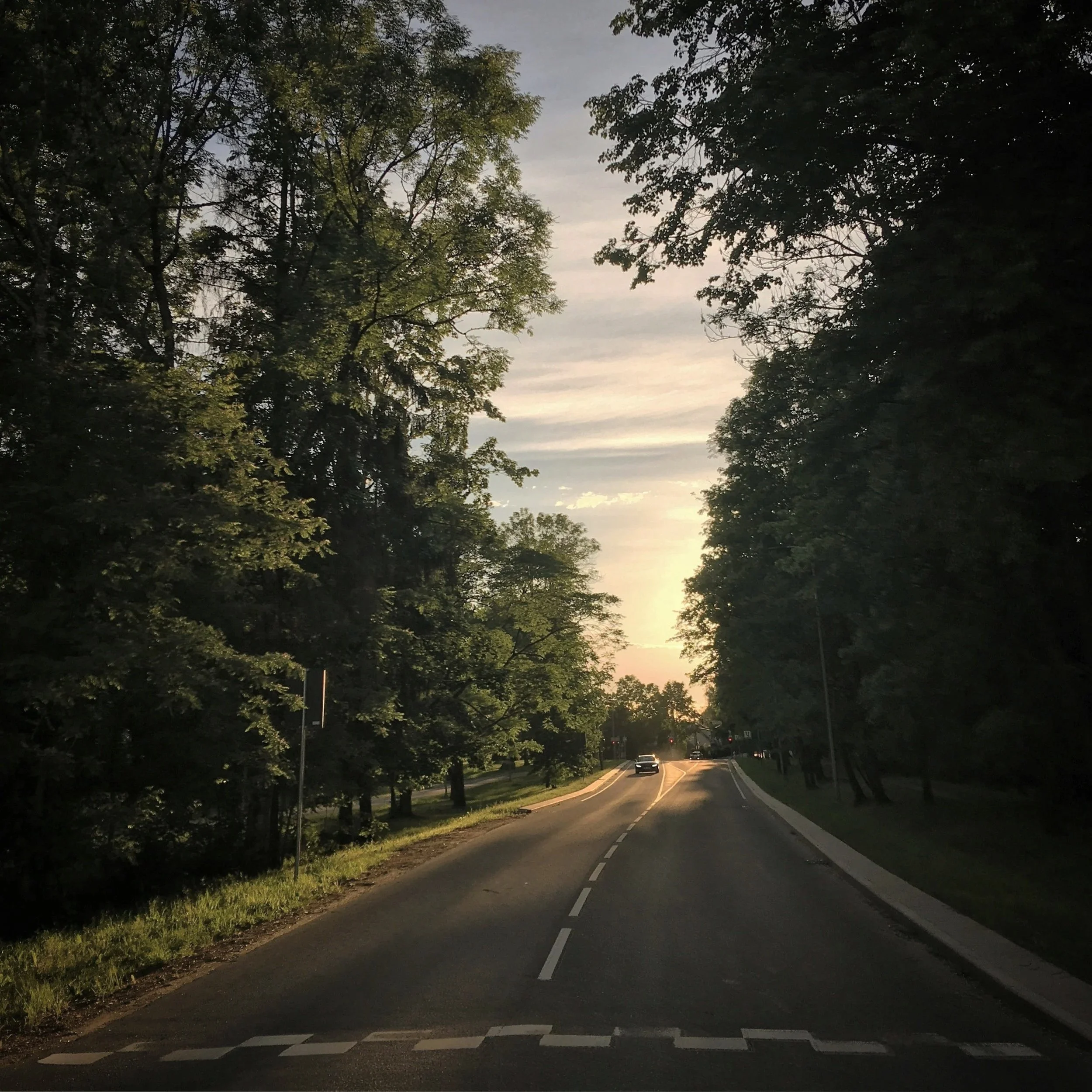 A peaceful outdoor scene during sunset with trees lining a winding road and cars driving away in the distance.