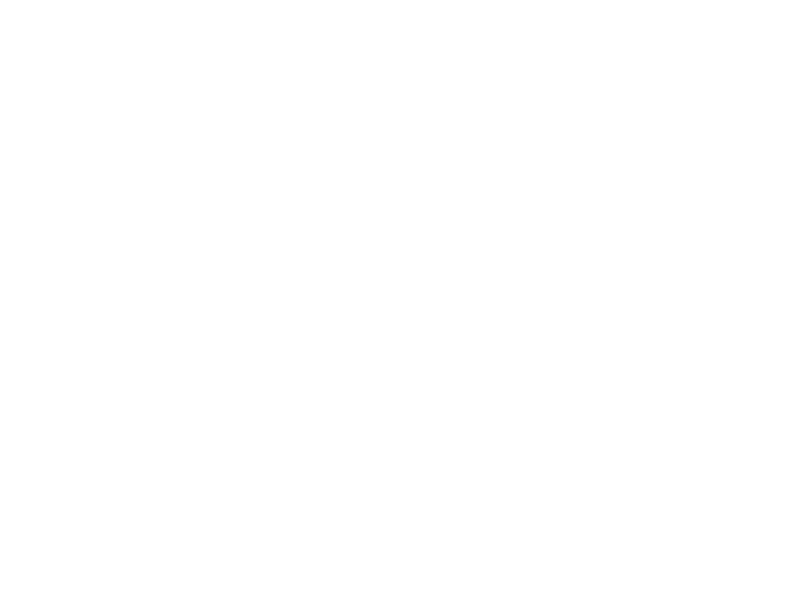 LTSM Systems - logo