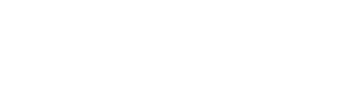 LTSM Systems