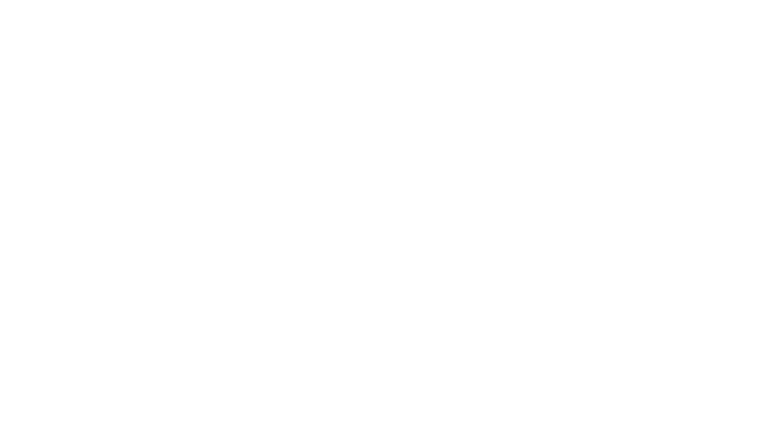 Flanders Investment & Trade partnership - LTSM Systems