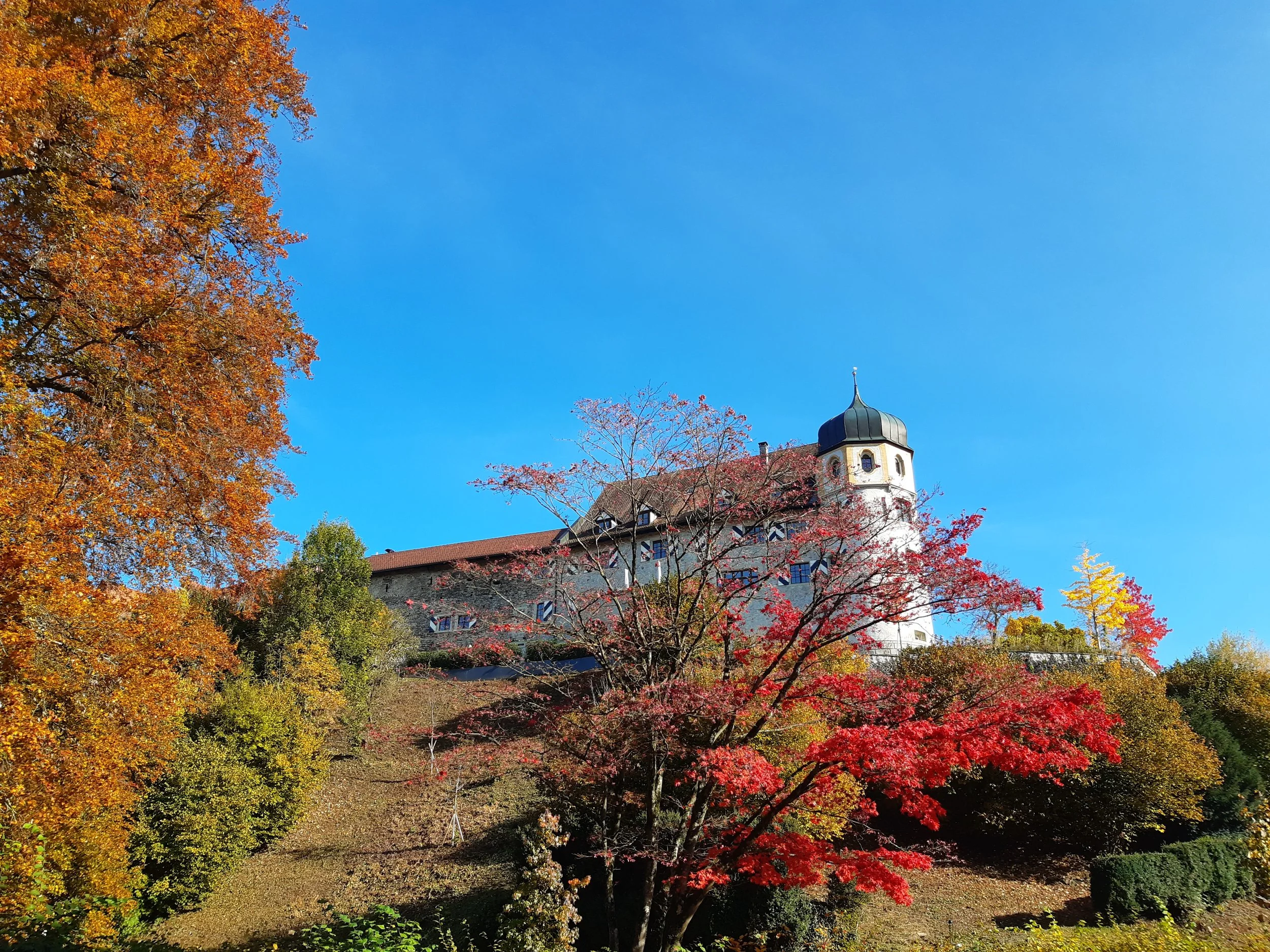 Herbst.jpg