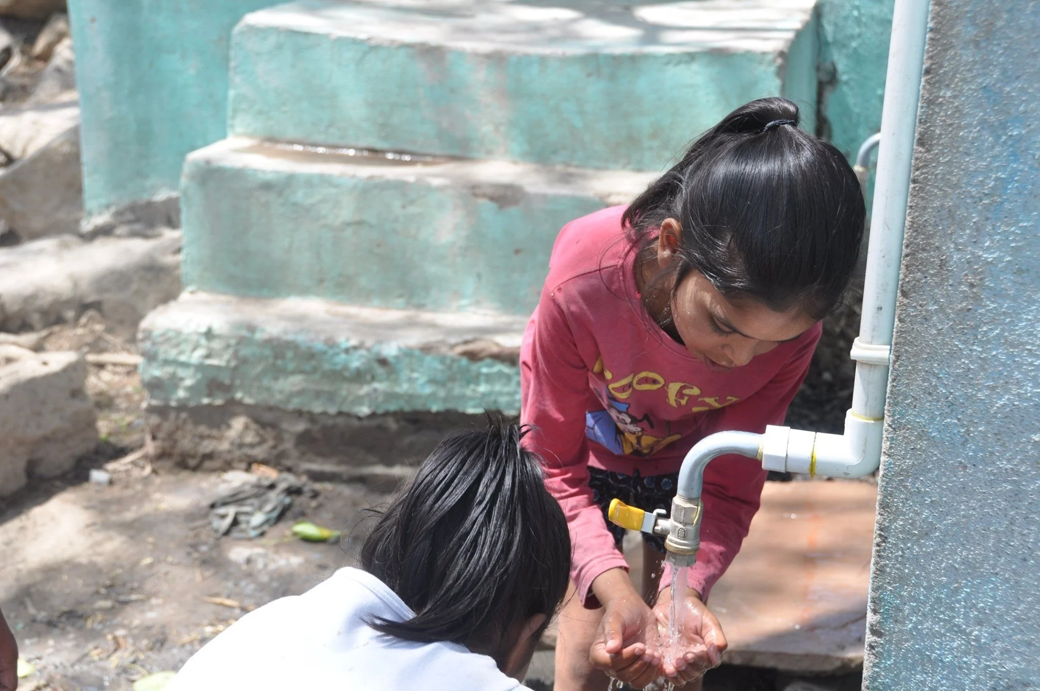 Biochar water filtration plant
