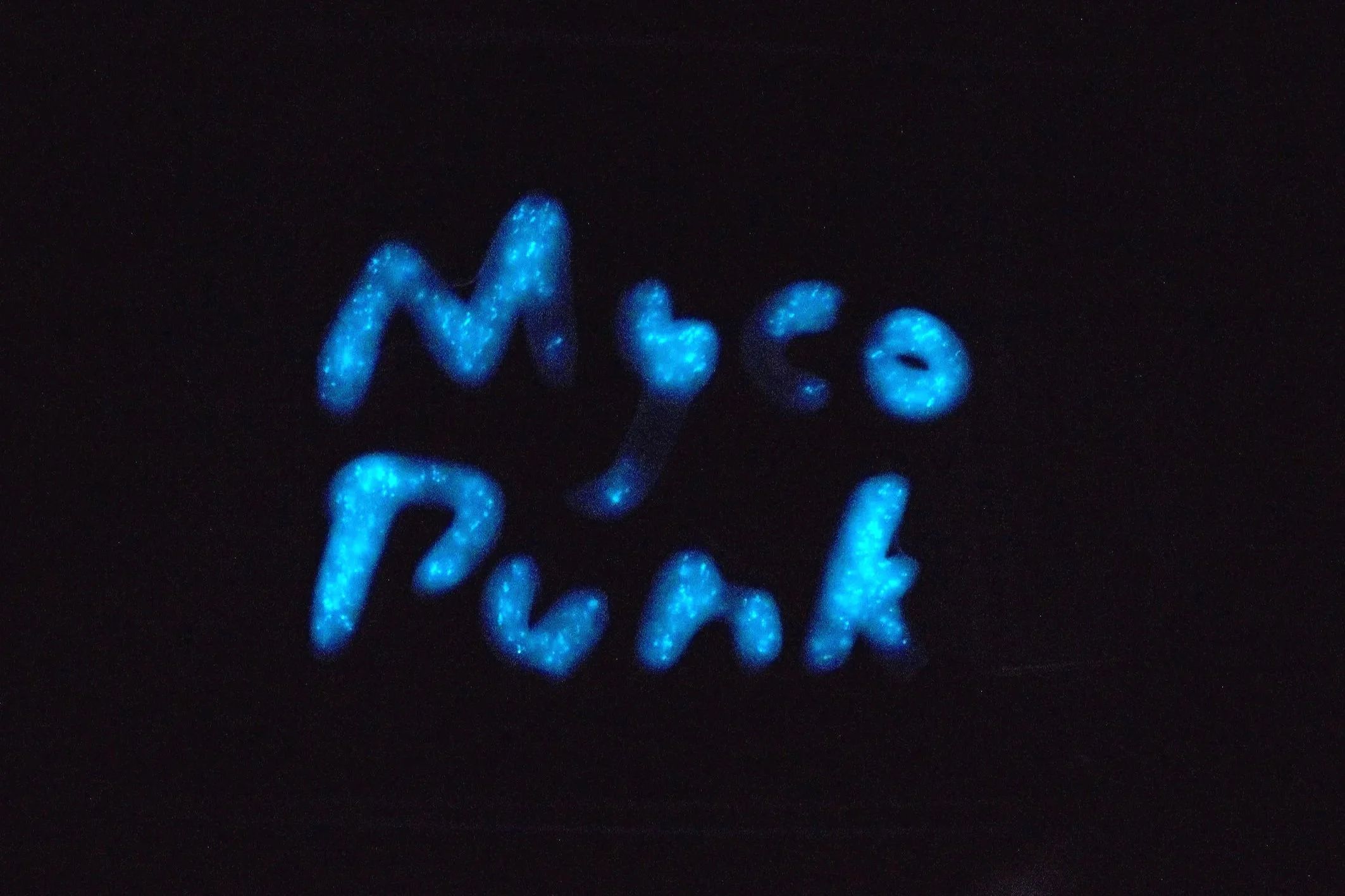 Bioluminescent, responsive materials