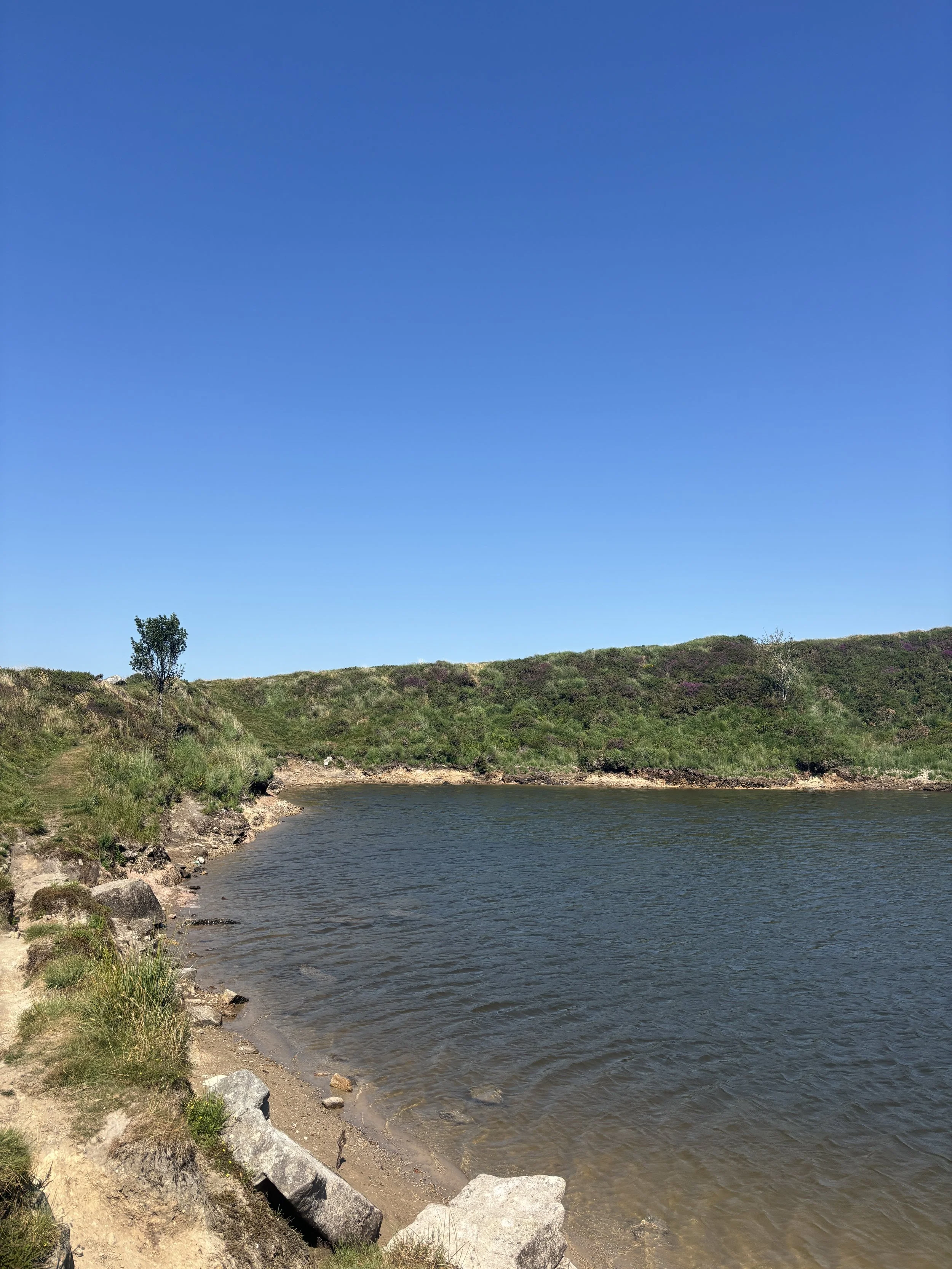A photograph of a pool of water, embedded into the moorland gorse, with a blue cloudless sky