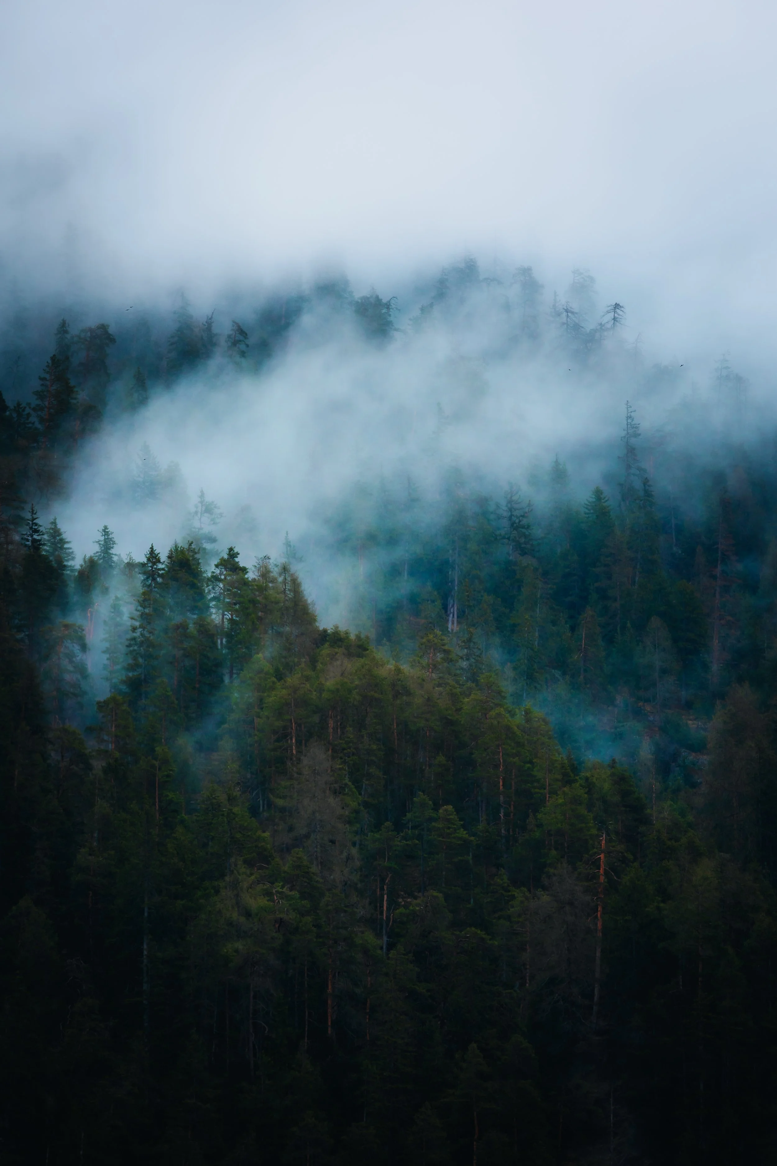 _S6A6490.jpg