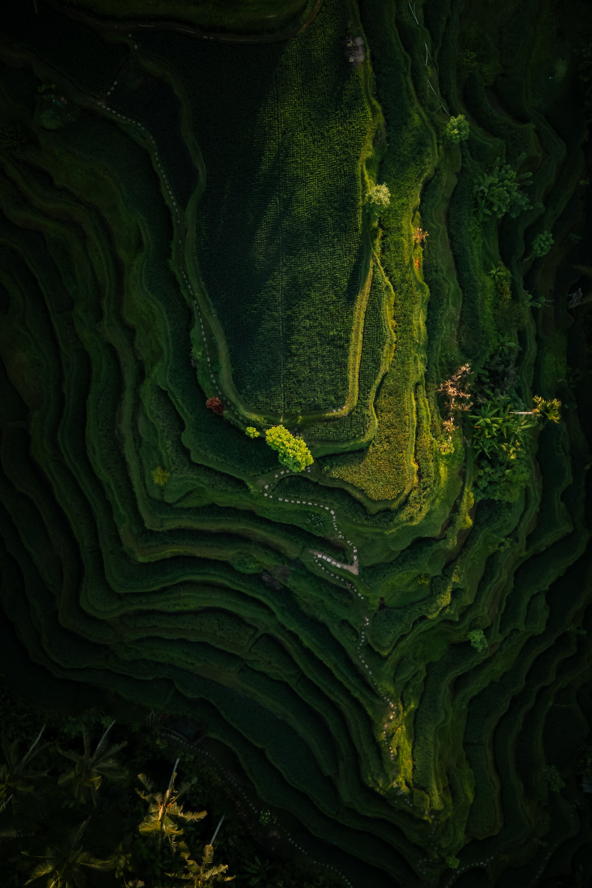 DJI_0328.jpg