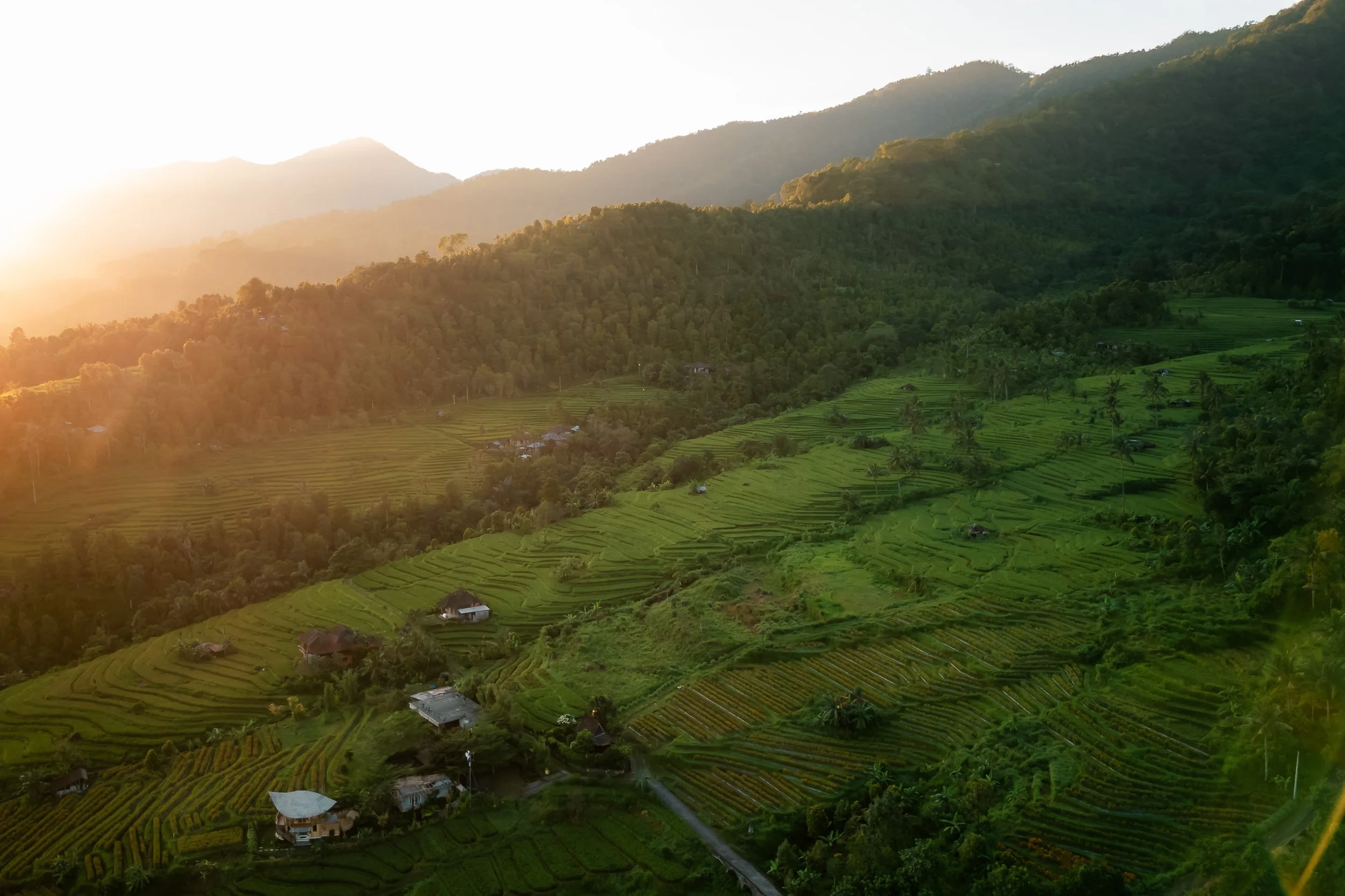 DJI_0074.jpg
