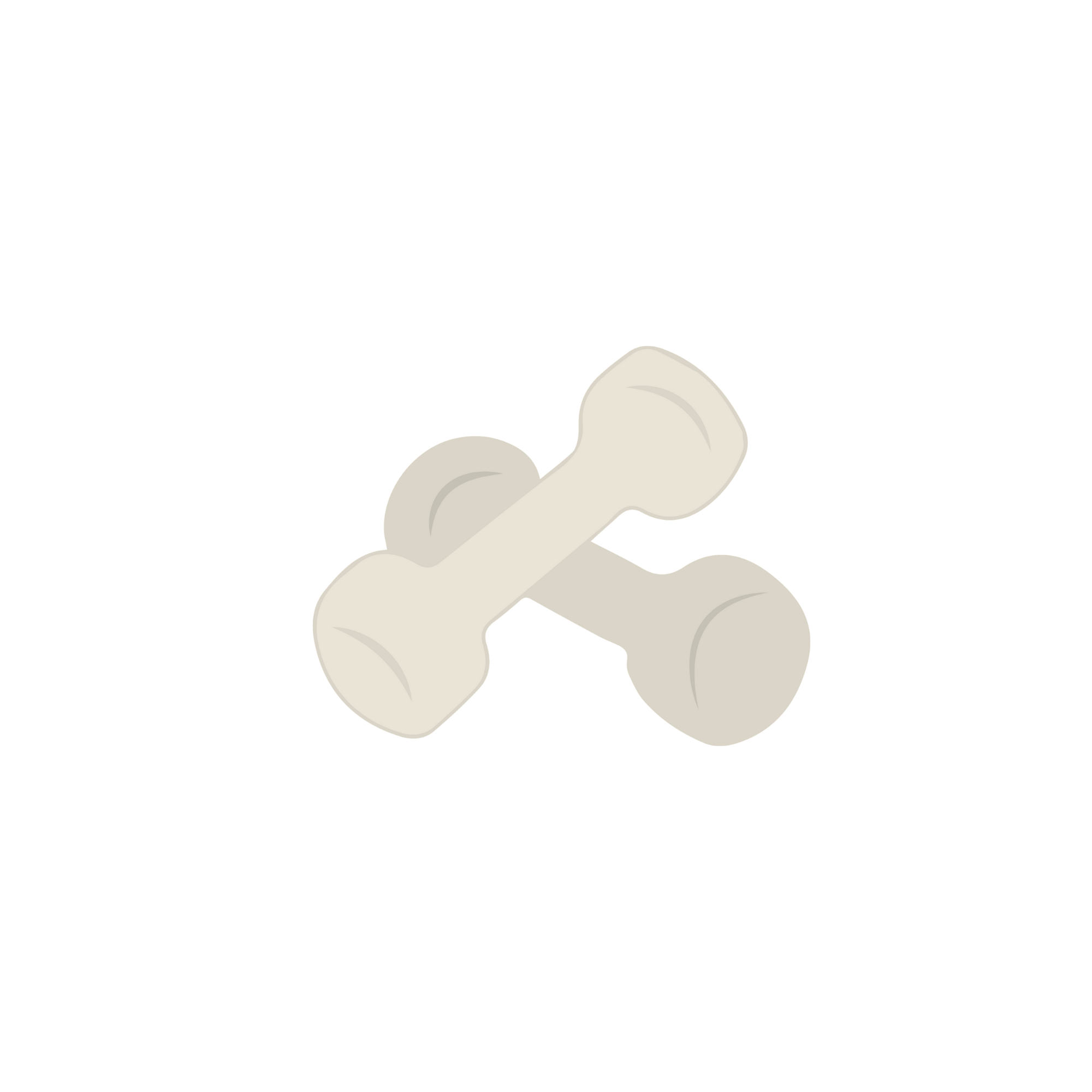 Illustration of a pair of white dumbbells crossed over each other.