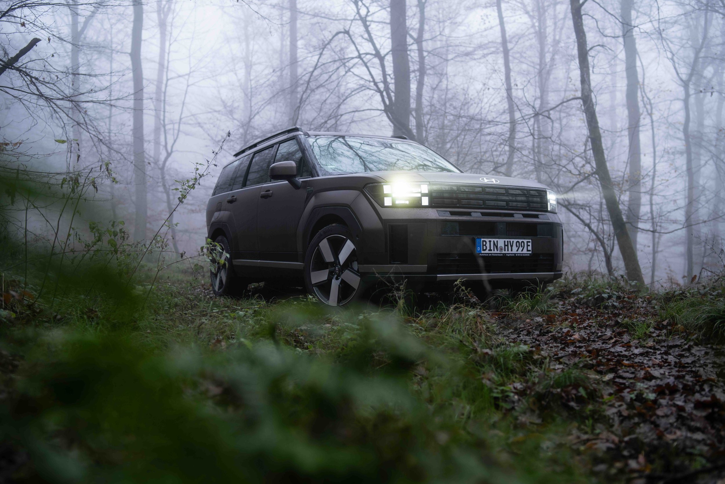 A black SUV parked in a foggy forest with leafless trees in the background and green foliage in the foreground.