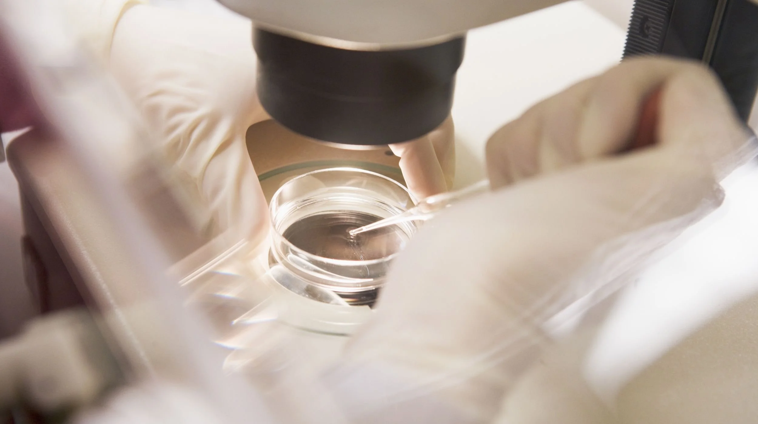 A scientist wearing gloves using a pipette to transfer liquid into a petri dish under a microscope during IVF treatment