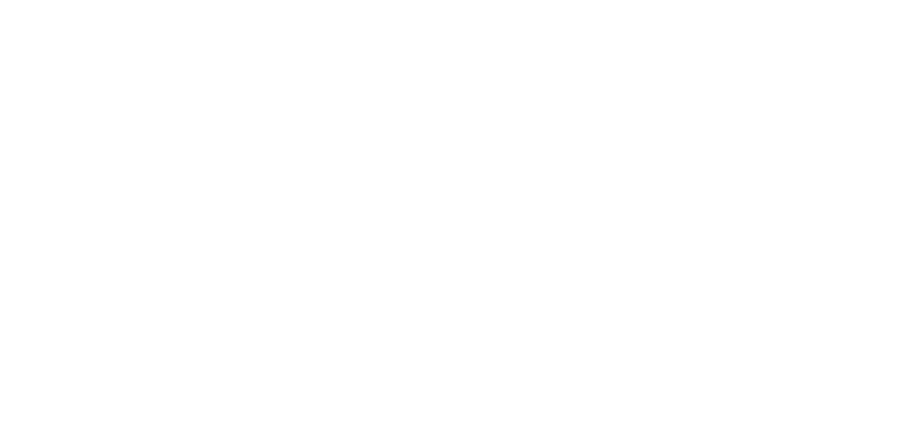 New Media