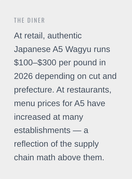 Screenshot 2026-03-23 at 0.04.40.png