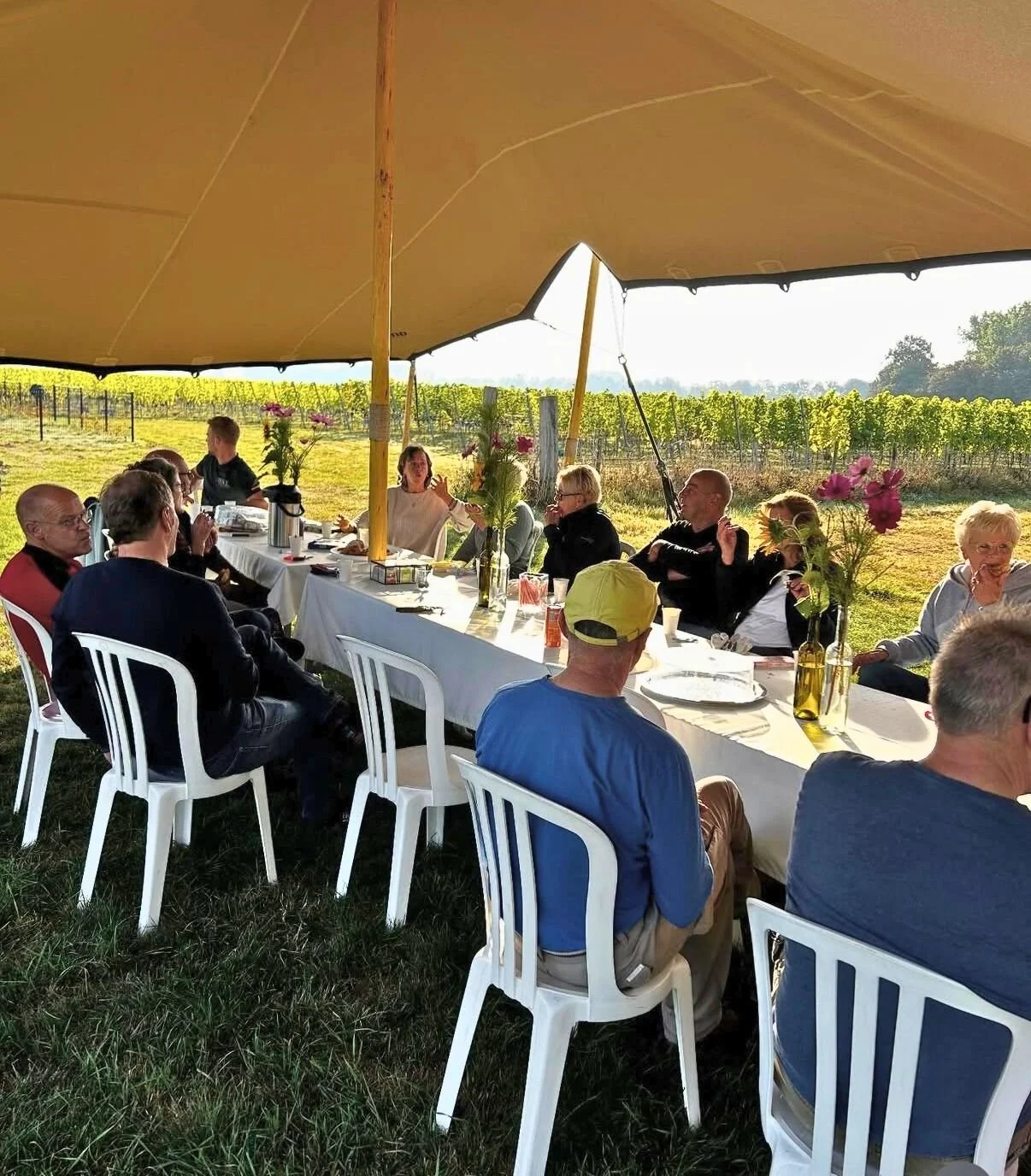 Een groep mensen zit onder een grote tent buiten aan een lange tafel die versierd is met vazen vol bloemen,tijdens de pluk van de druiven in wijngaard bossenblie