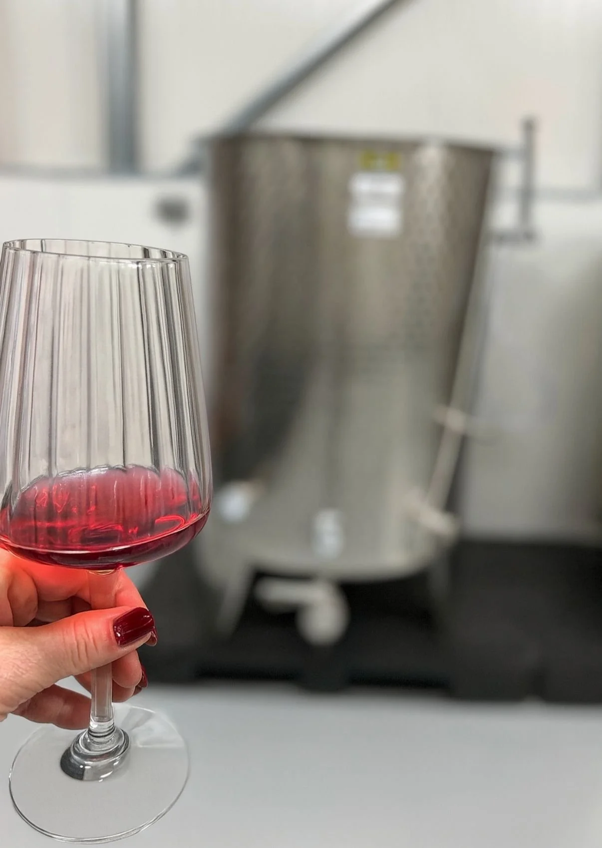 Persoon die lokale rode wijn uit Zeeuws-Vlaanderen uit een grote metalen wijnketel schenkt in een glas. De wijn is afkomstig van wijngaard bosselblie in Axel