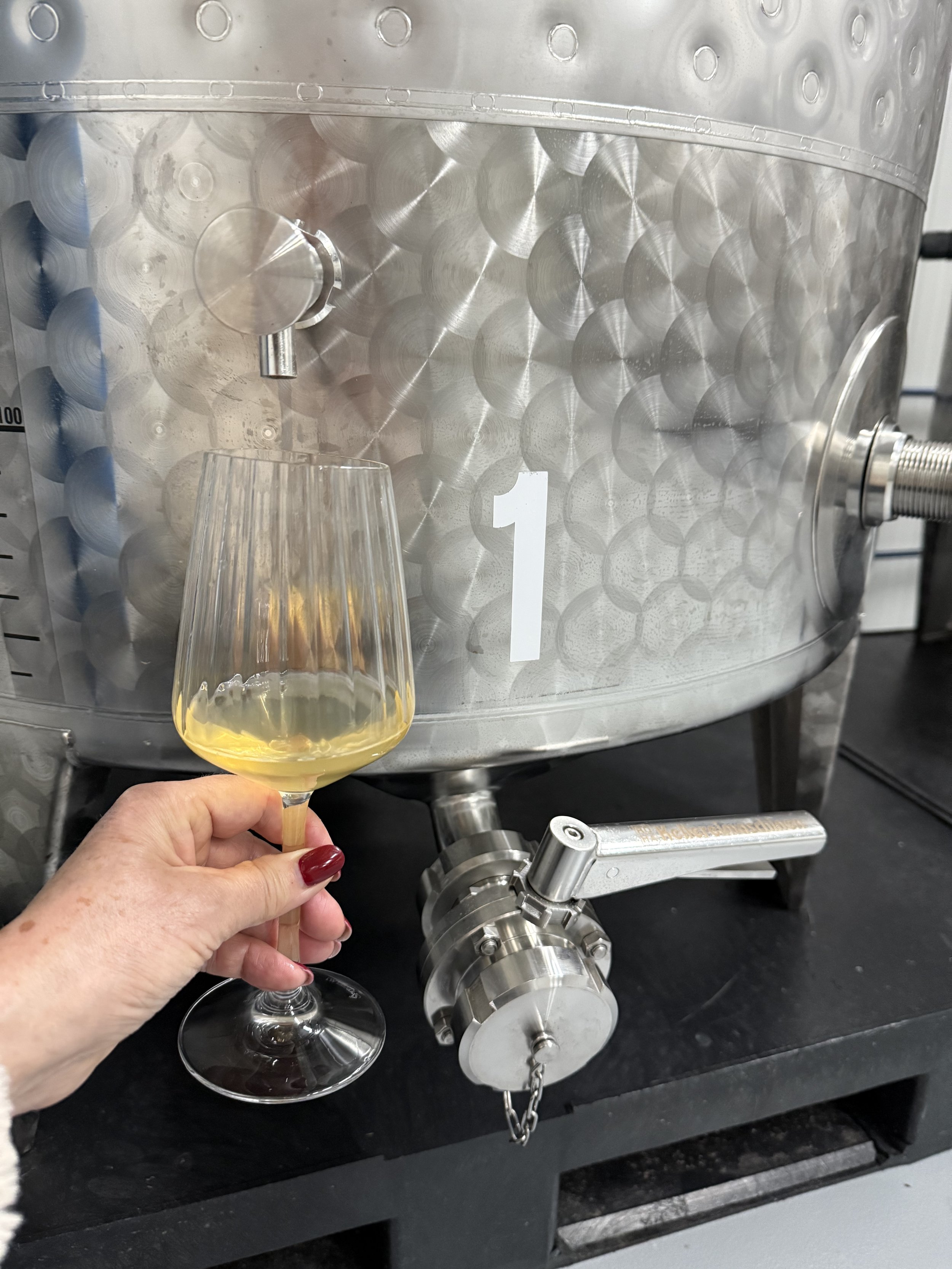 Persoon die lokale witte wijn uit Zeeuws-Vlaanderen uit een grote metalen wijnketel schenkt in een glas. De wijn is afkomstig van wijngaard bosselblie in Axel