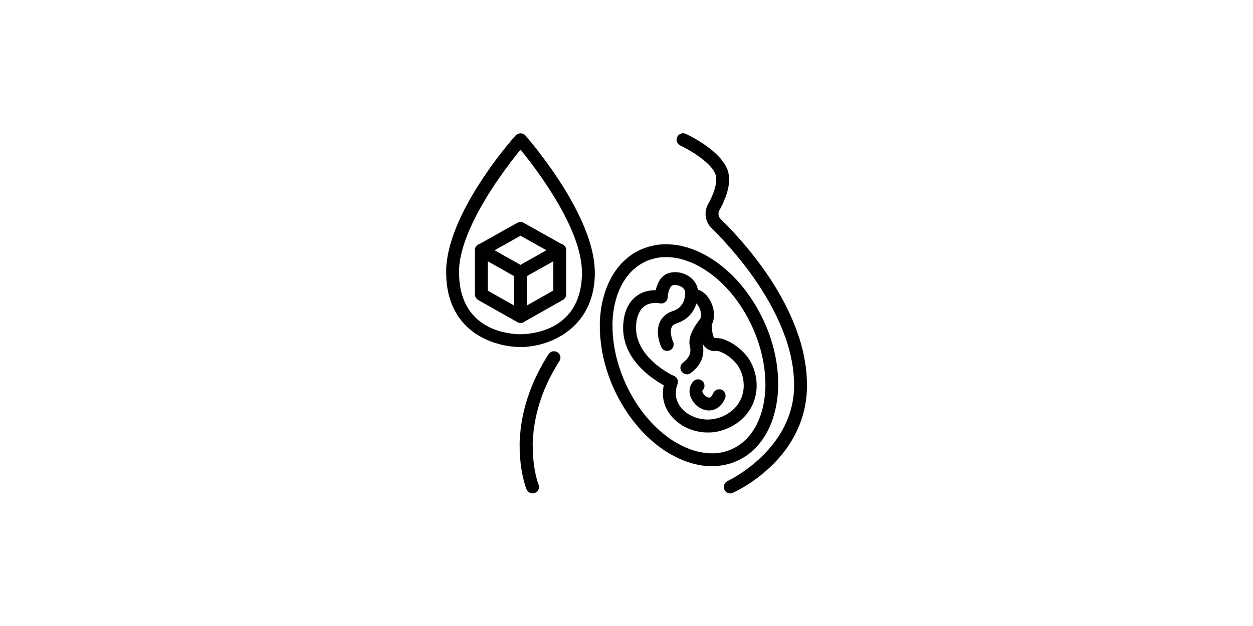 Schéma illustrant des processus biologiques, avec une œuf, une couche externe et un contenu interne.