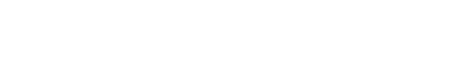 Logo für Fahrschule MAX Premium, mit einem Tachometer auf der linken Seite