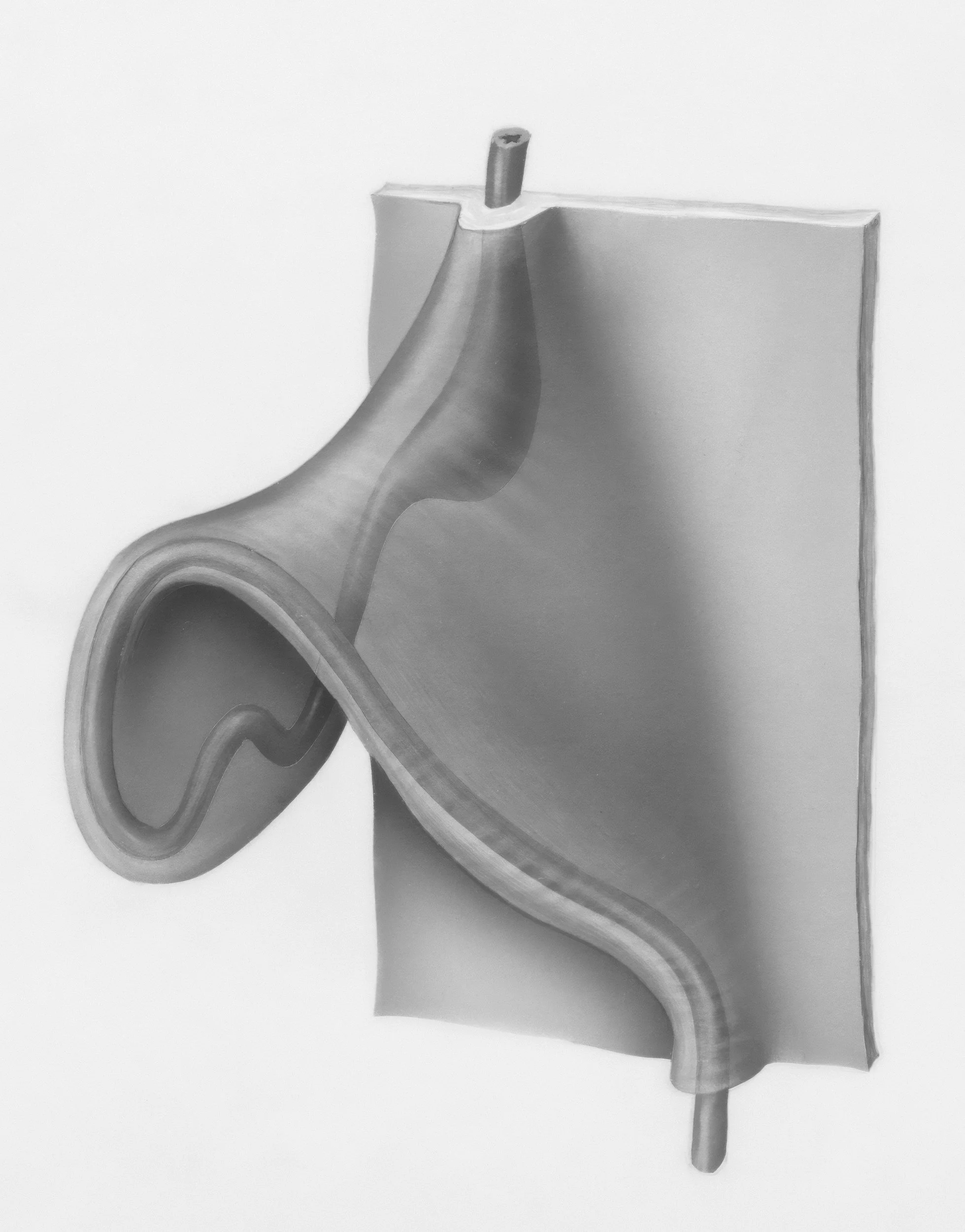 An artistic, grayscale illustration of a human stomach and esophagus against a plain background.
