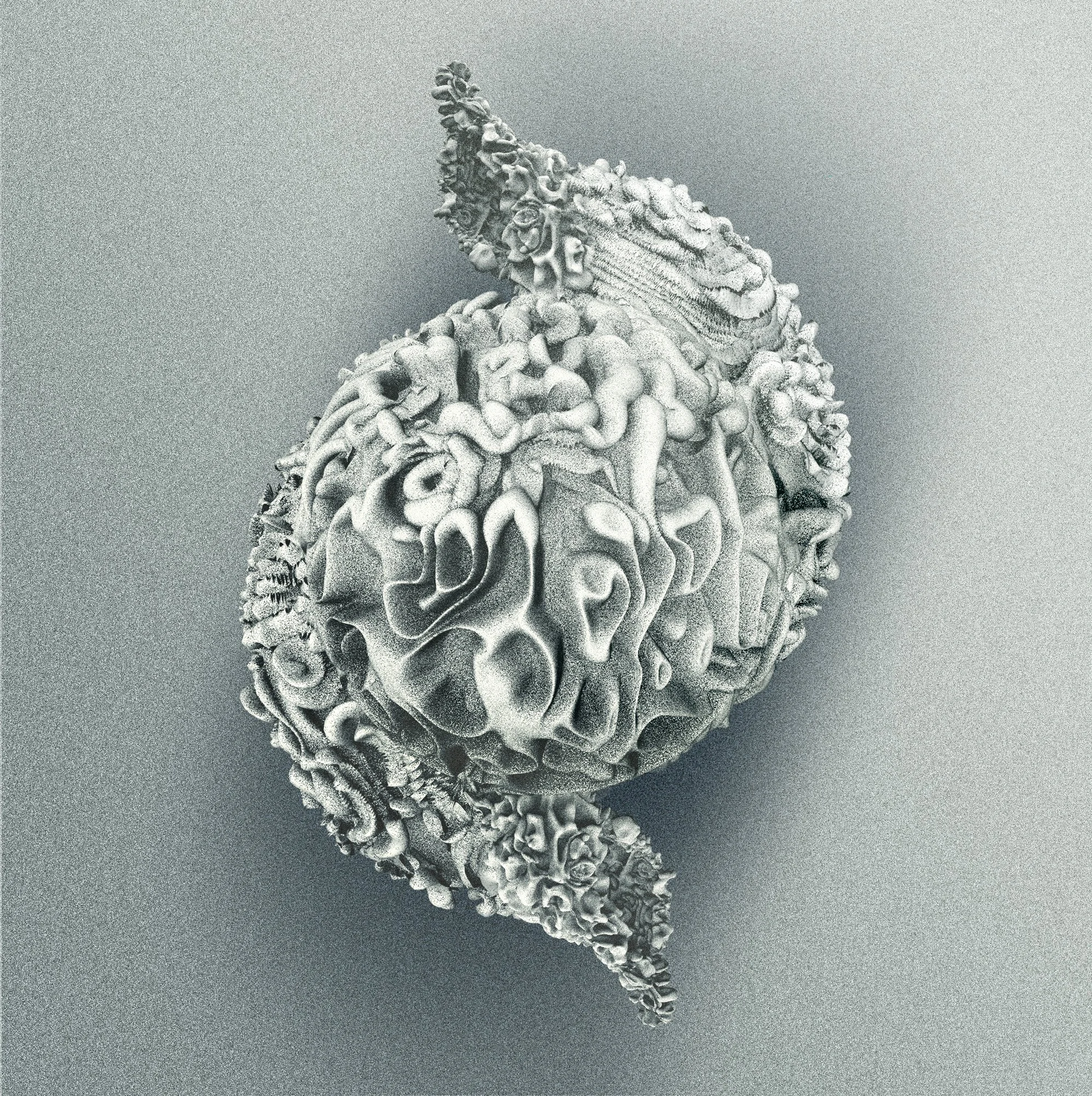 sphere2 copie.jpg