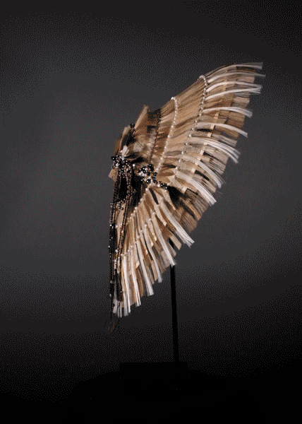 DSCF4488.gif