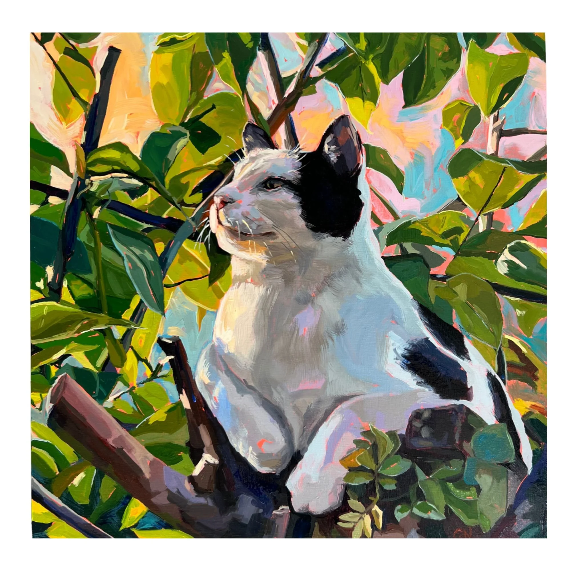 "In The Canopy" Original