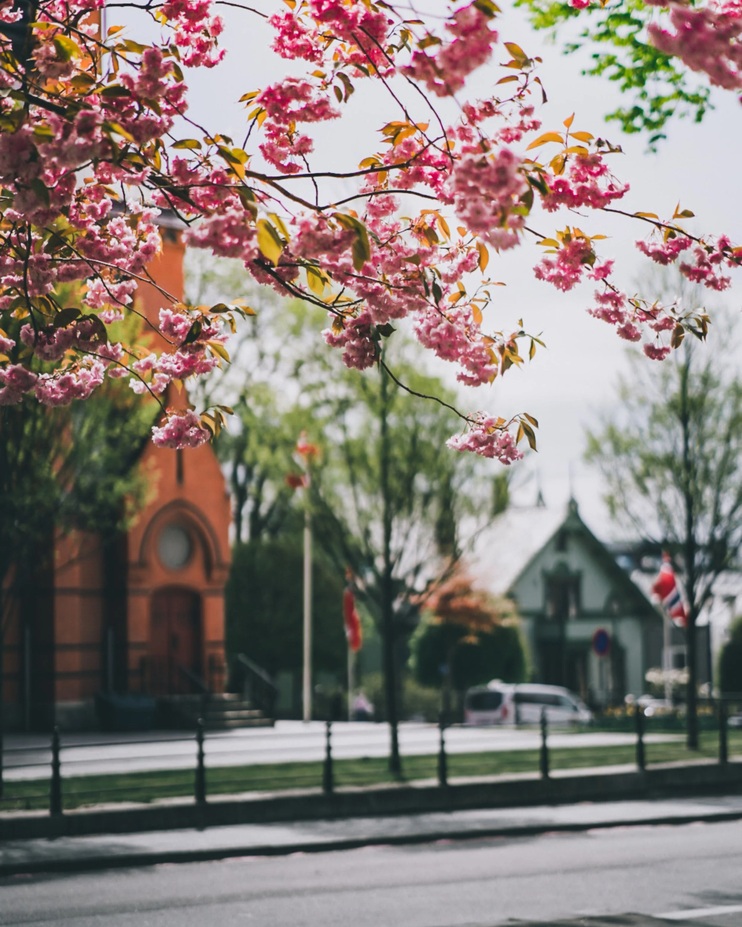 Today is Norway&rsquo;s National Day 🇳🇴And as we say here in Norway: Gratulerer med dagen! 🇳🇴 

📷 @jtorkels