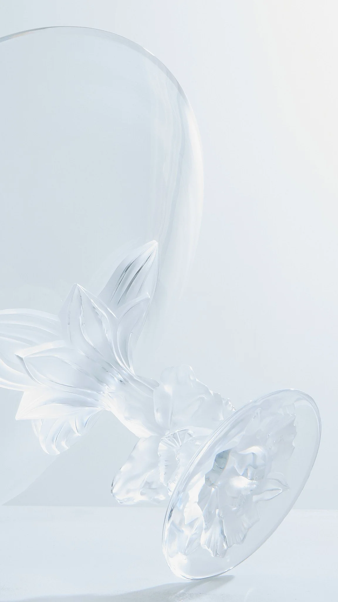 Coupe-Lalique4 copie.jpg