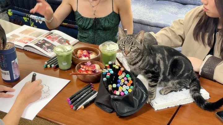 @morihaus_ X @littlelions_socialclub 4/4 &amp; 4/5 (Sat and Sun)

literally the perfect easter weekend hangout!! 🐈🍓🍵🎨☁️

+ purchase a bowl + drink and receive a random easter egg on us &mdash; everyone wins! 💌🧺✨

rsvp link in bio 🔗
11am - 3.30