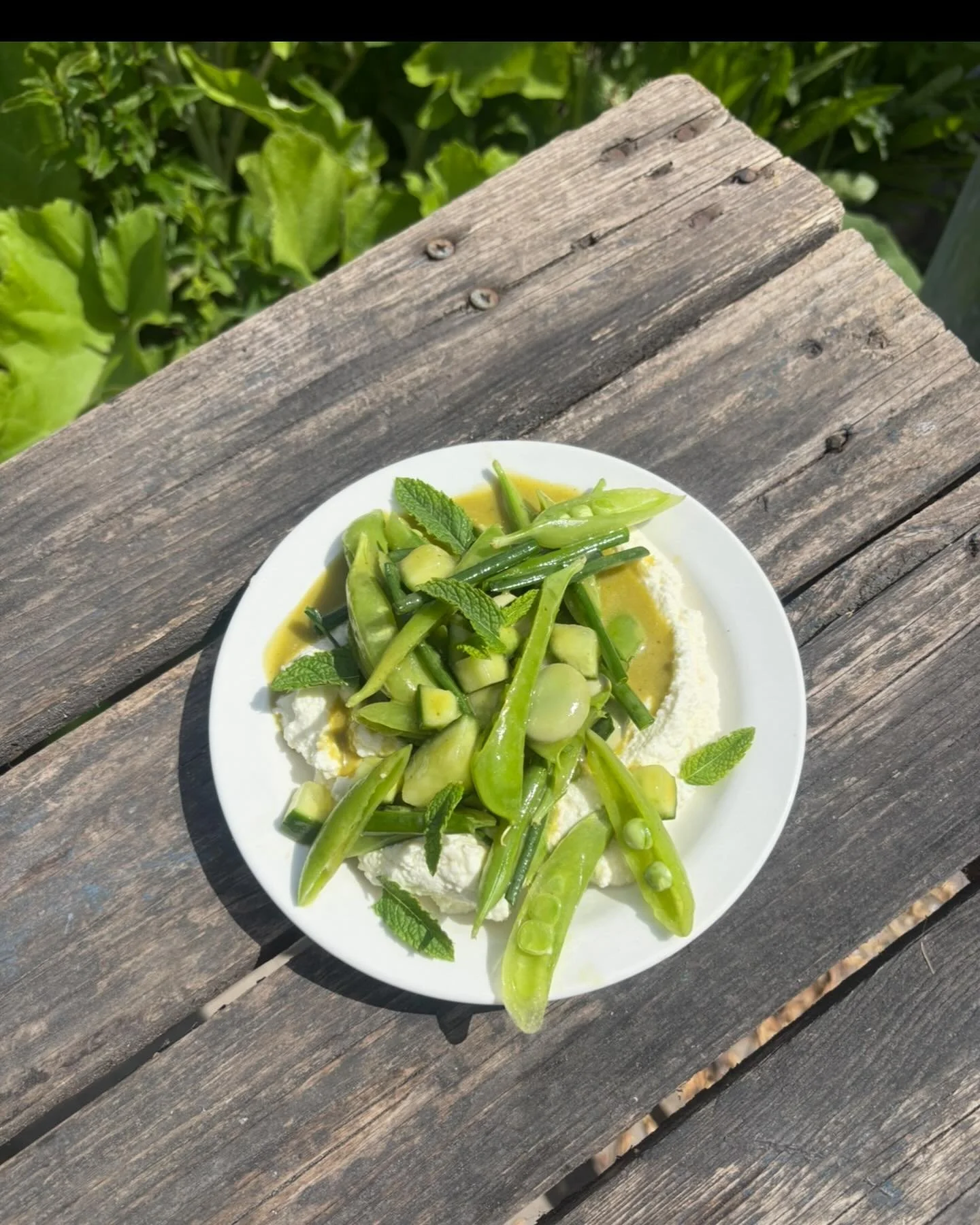 Raw pea &amp; mint salad with house ricotta

This weekends special is a sweet symphony beautiful of Manchester grown produce. 

Mint and chives from  @plattfields_marketgarden 
peas from @cinderwoodmarketgarden 
broad beans from the guys over at @kin