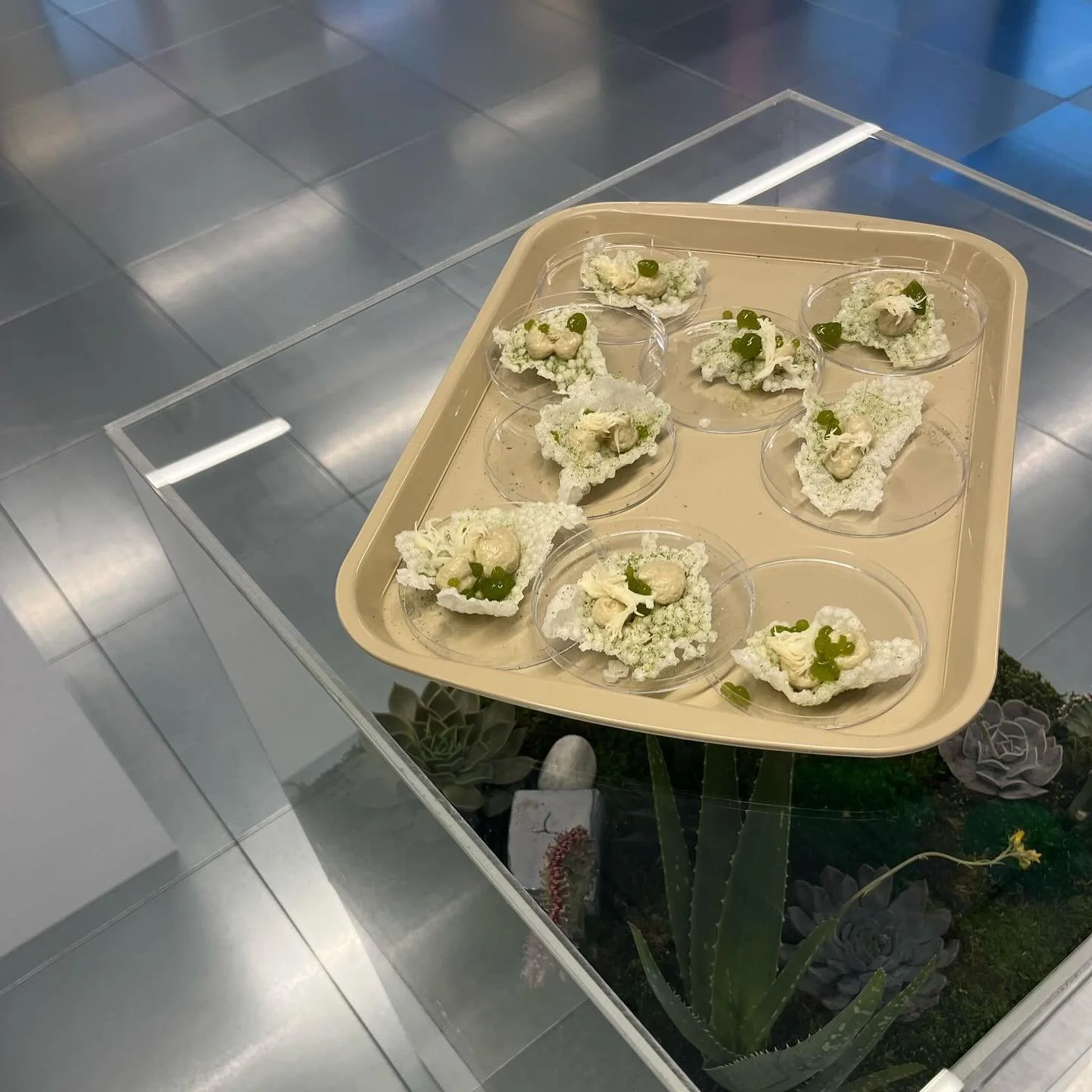 Thank you @bruntwoodscitech for inviting us to cater the opening of their new science lab last week. 

- Potato doughnut with wild garlic aioli and garden herbs
- Our house ricotta, cured ham and rhubarb sugar
- @stockportfungi oyster mushroom puree 