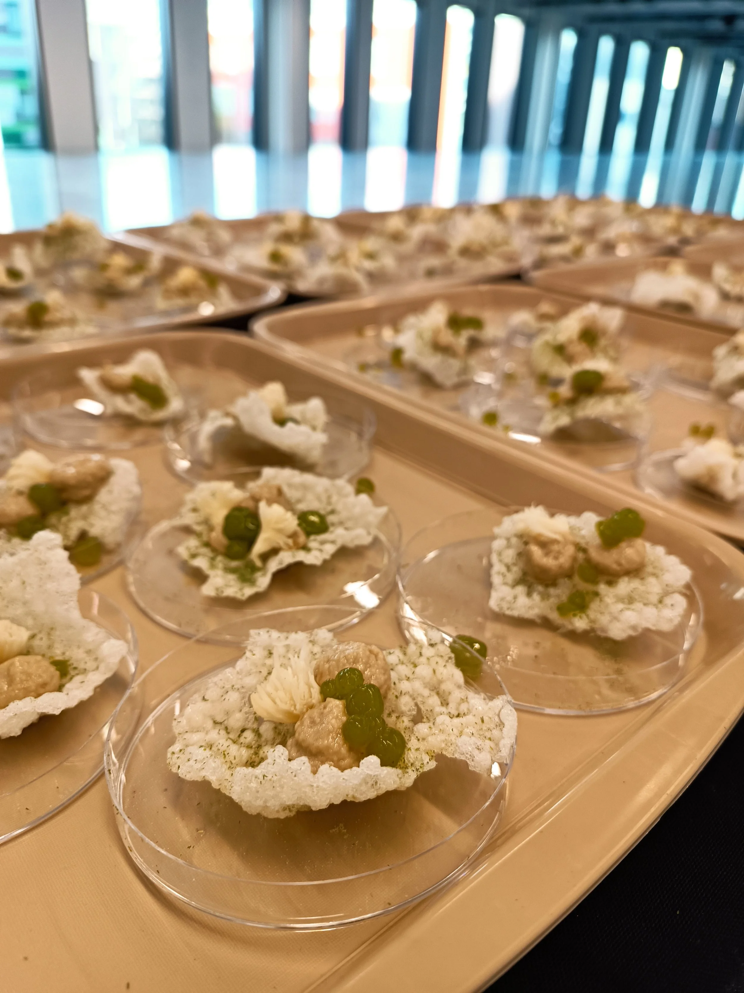 Close-up of multiple small appetizers at a bespoke event on clear plates, consisting of crispy white crackers topped with a beige spread and garnished with small green herbs or vegetables.