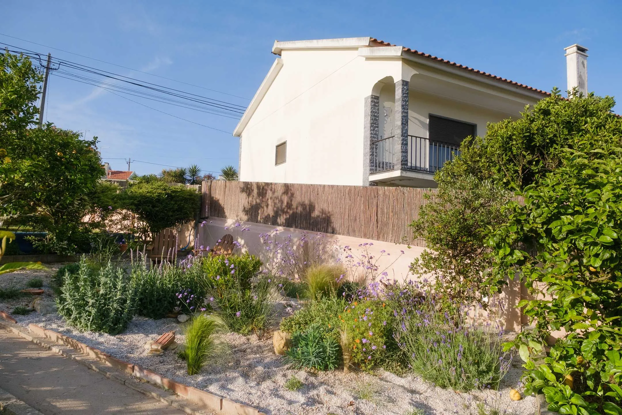 A garden designusing native plants and flowers, some chairs, and a fence, under a clear blue sky in Ericeira, Portugal