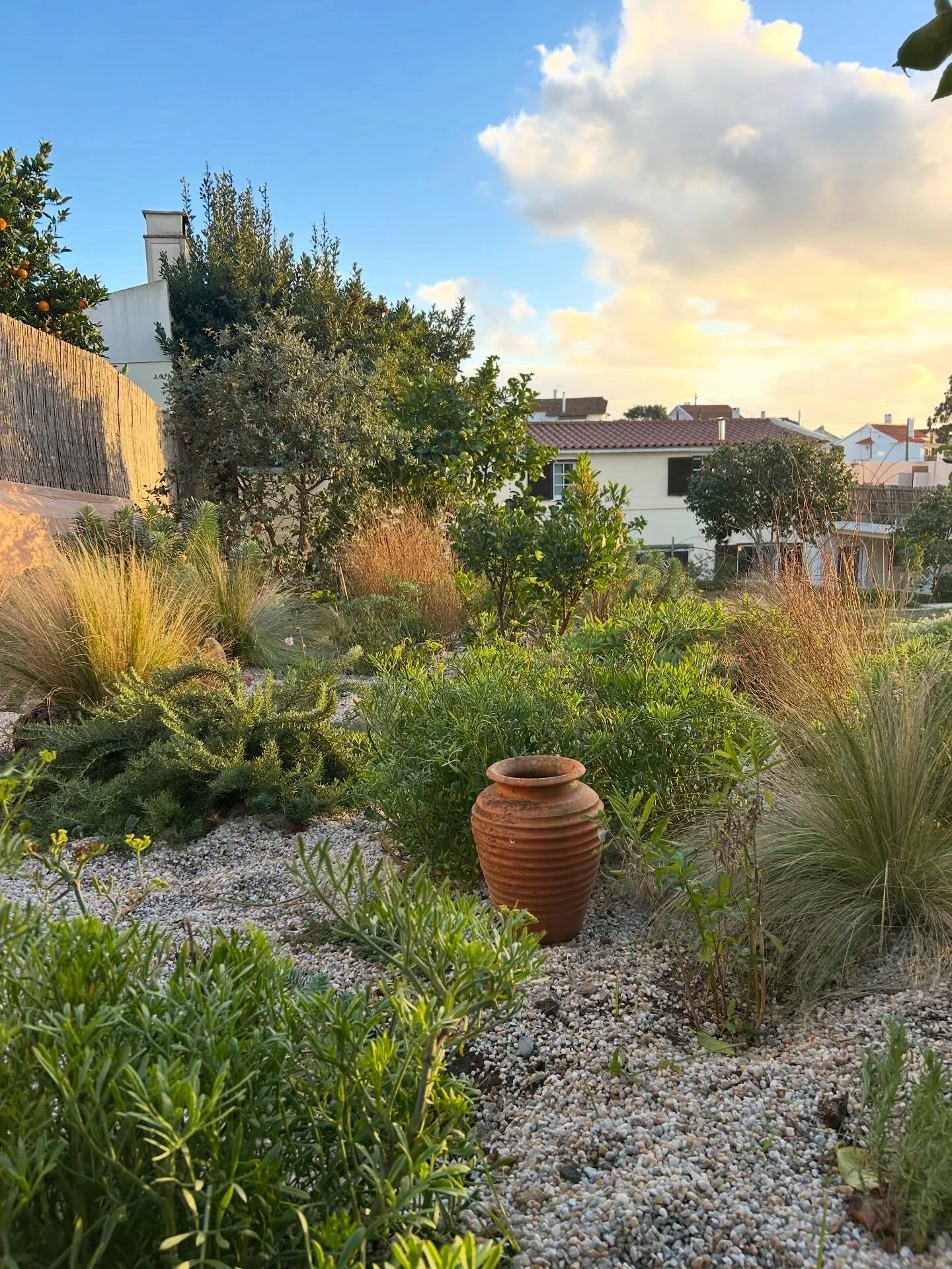 A natural garden designed with various plants including grasses, bushes, and a small tree; a large decorative clay pot in the center; gravel ground cover; residential houses in the background; blue sky with clouds and sunlight.