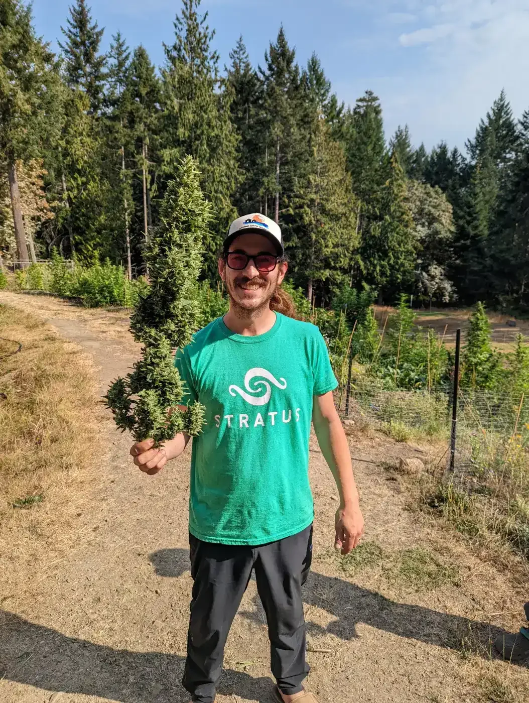 West Coast Weedery cannabis grower Adam Clarke on farm