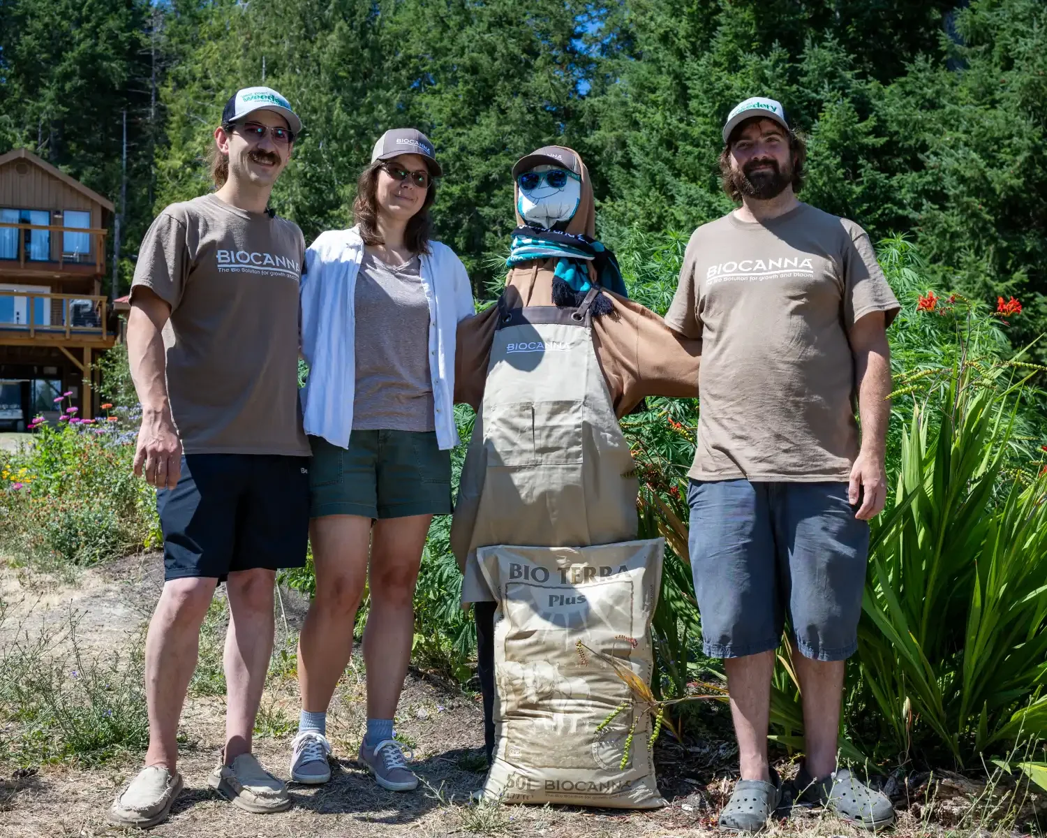 Cannabis production team consisting of two men, one woman stand together with scarecrow at cannabis property