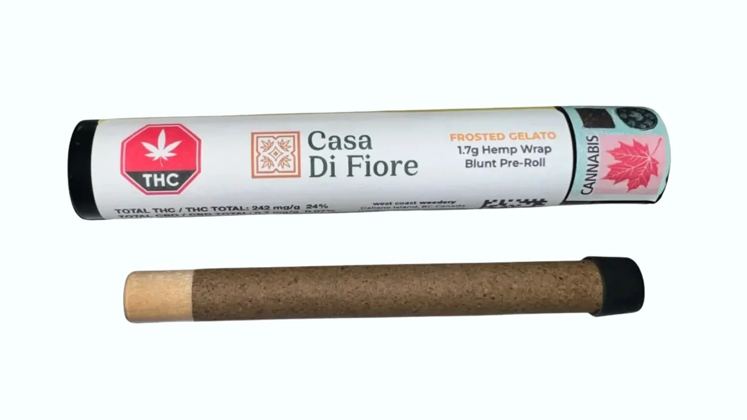 casa cannabis blunt in front of packaging tube