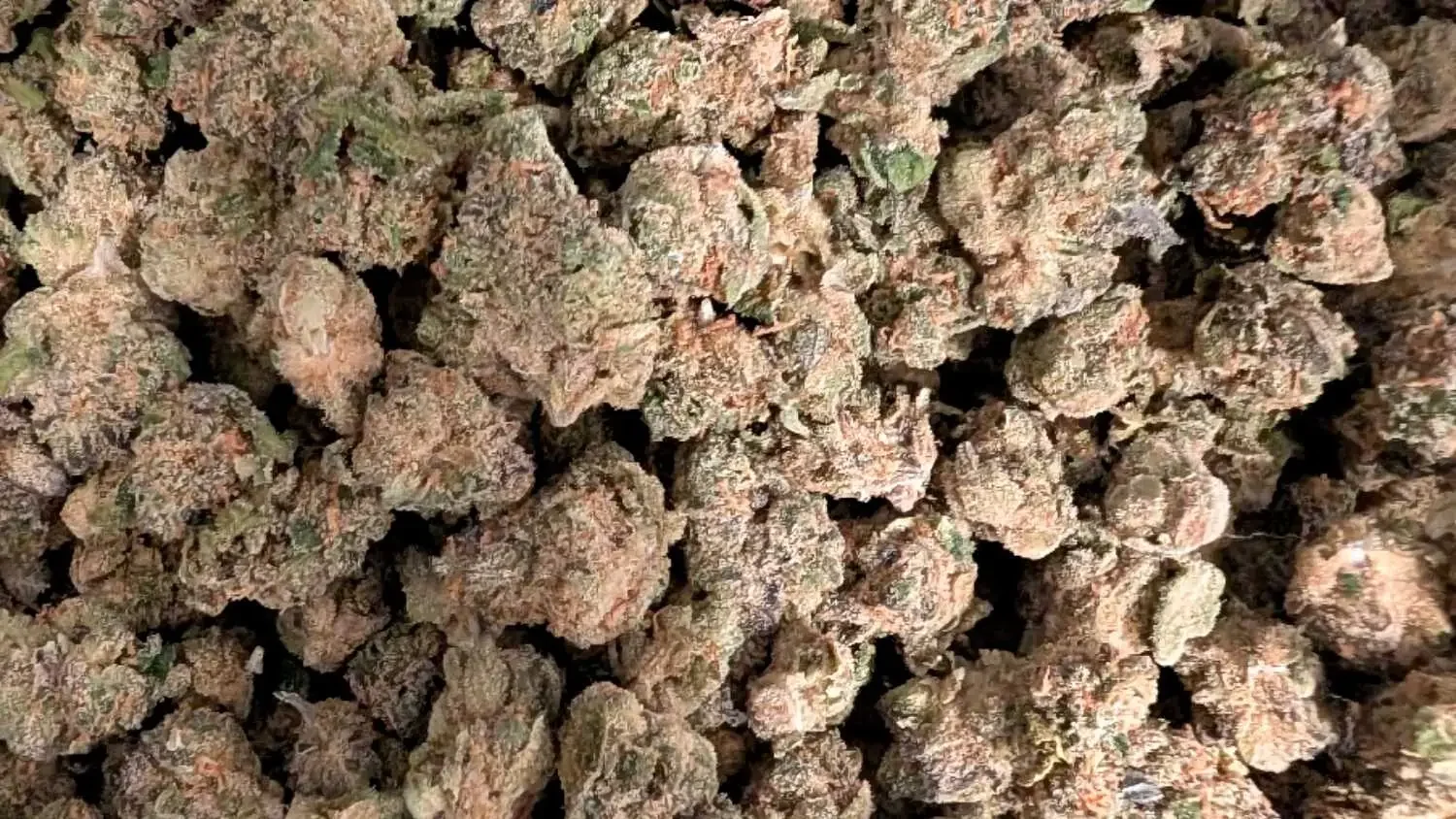 Gastro Pop cannabis flower