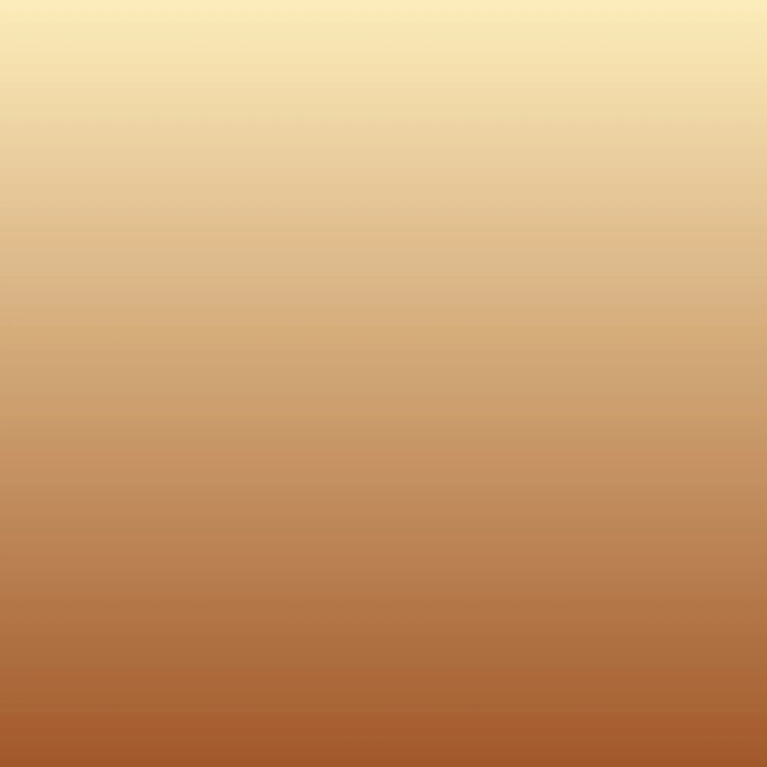 Website PF Rise-29.jpg