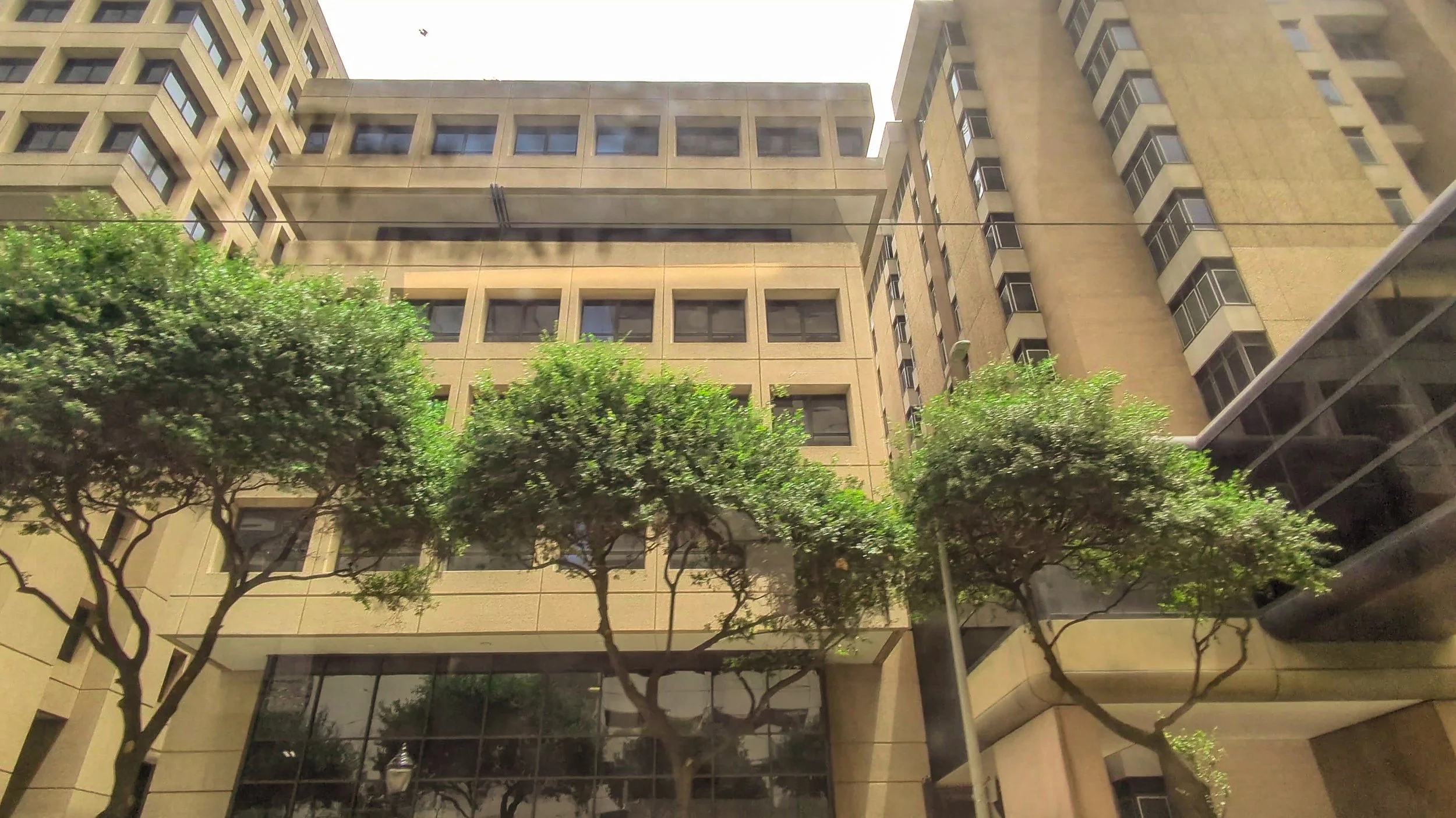 “The Pitt” and the Death of Plastic Television